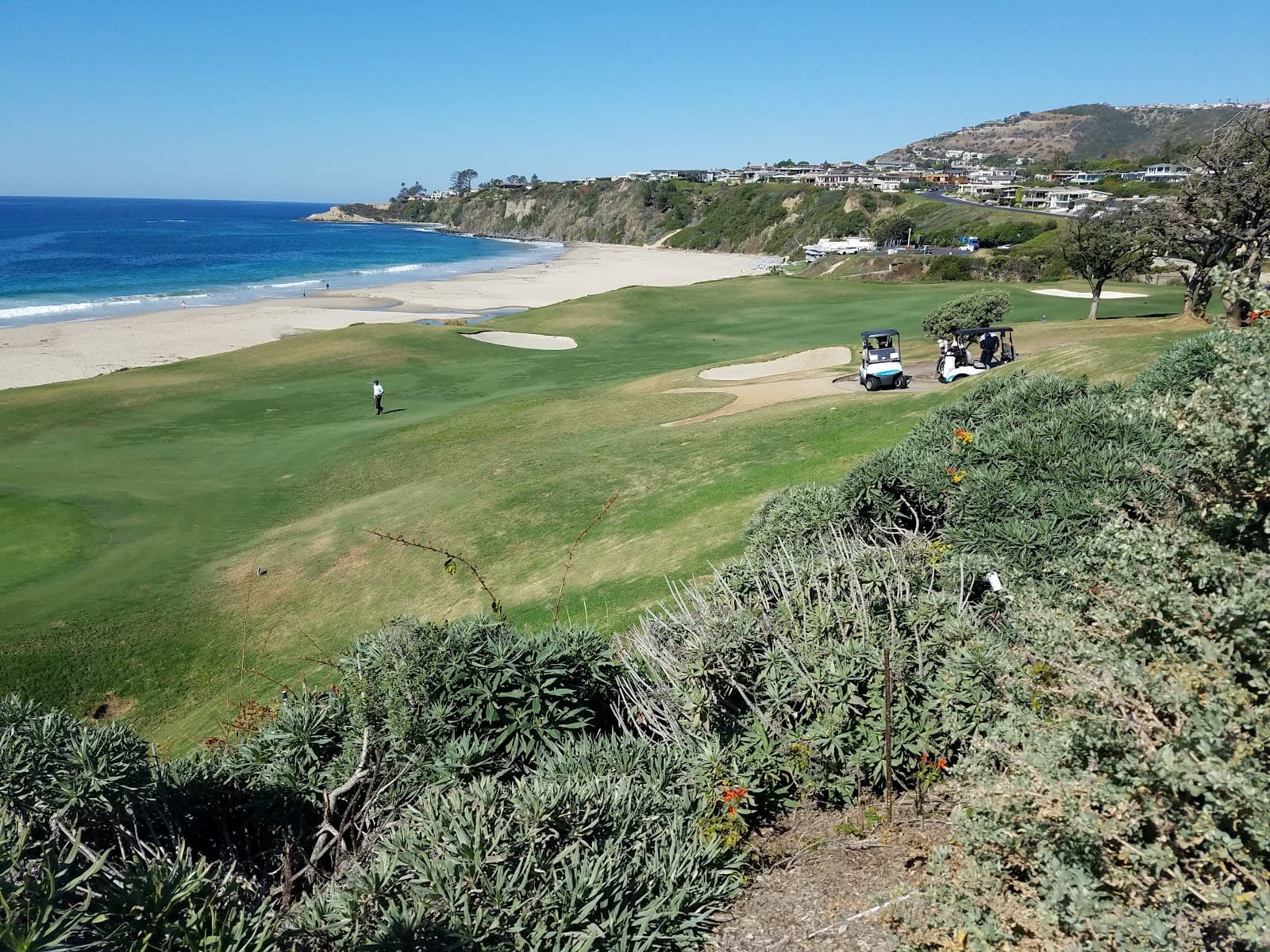 Salt Creek Trail - Image 1