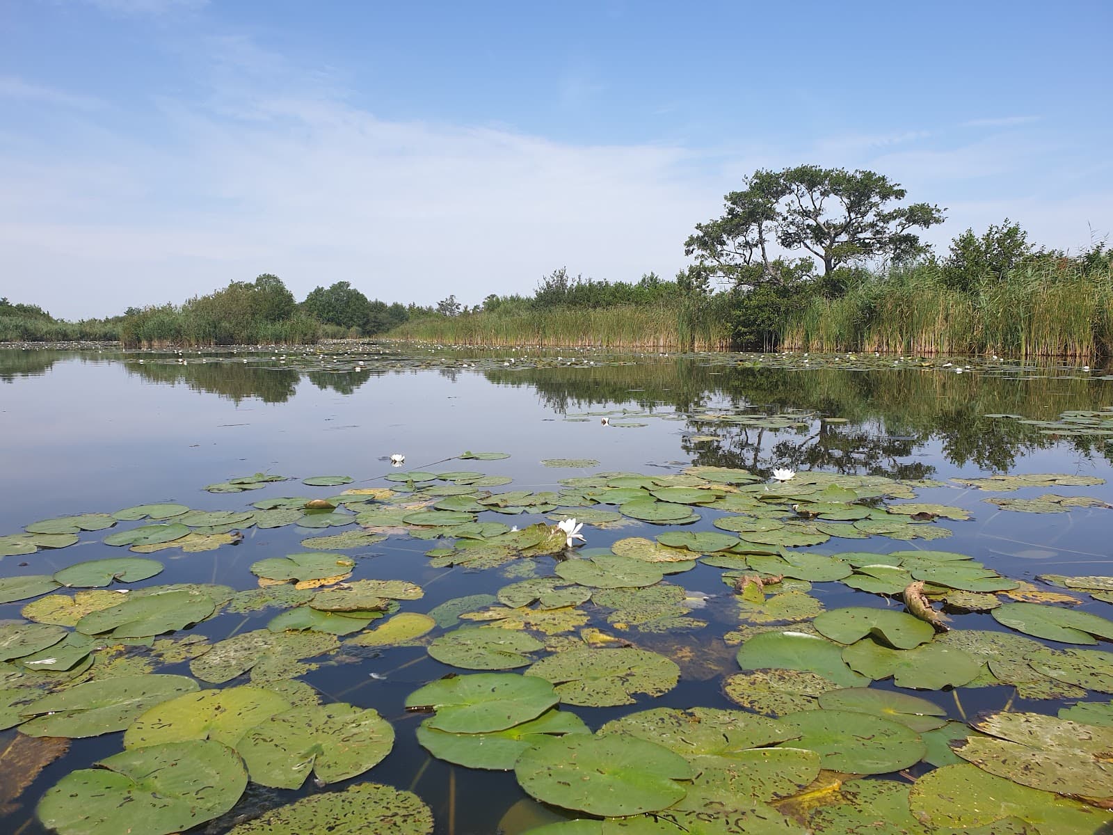 Kortenhoefse Plassen - Image 1
