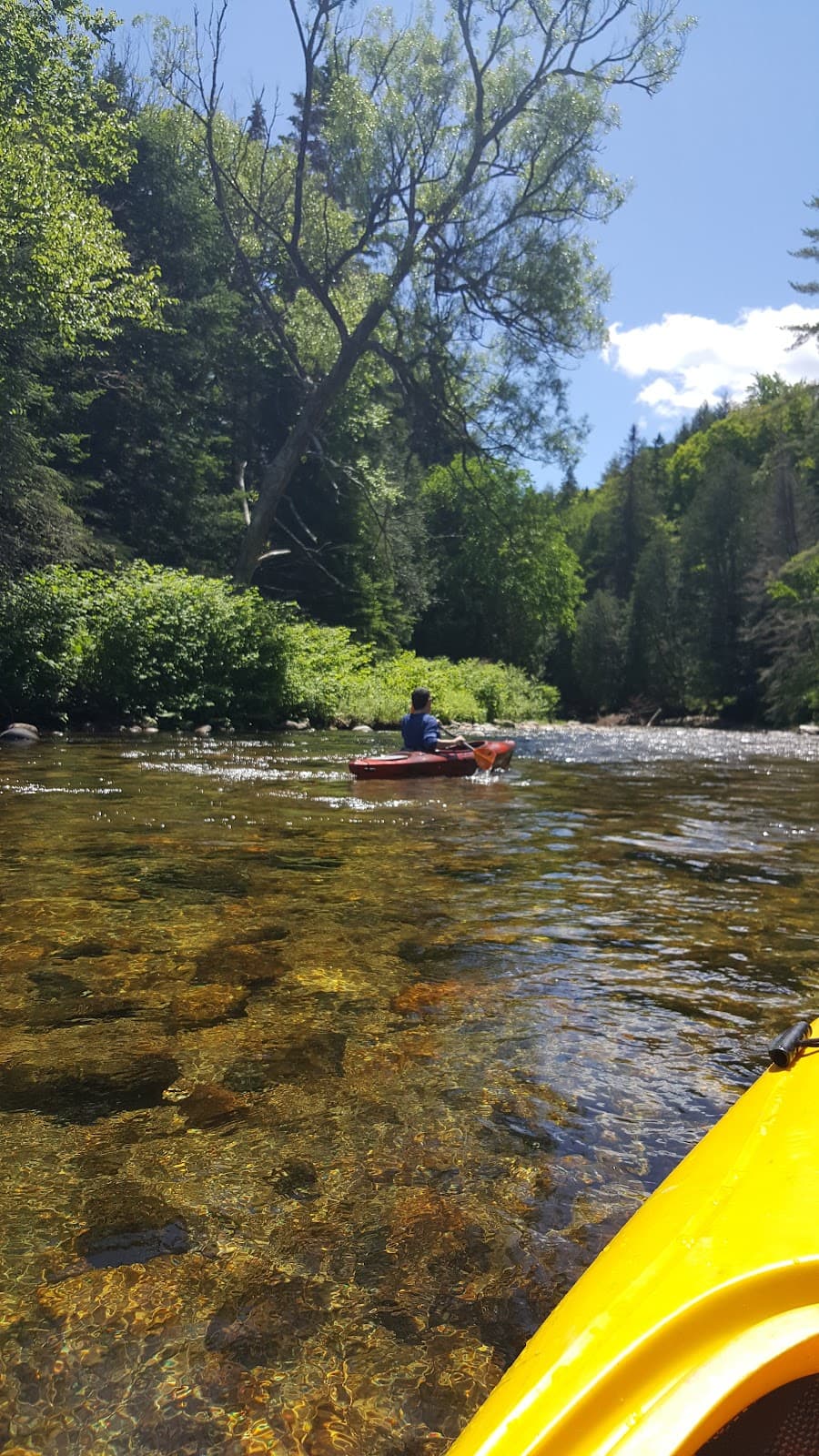 Passumpsic River Paddling - Image 1