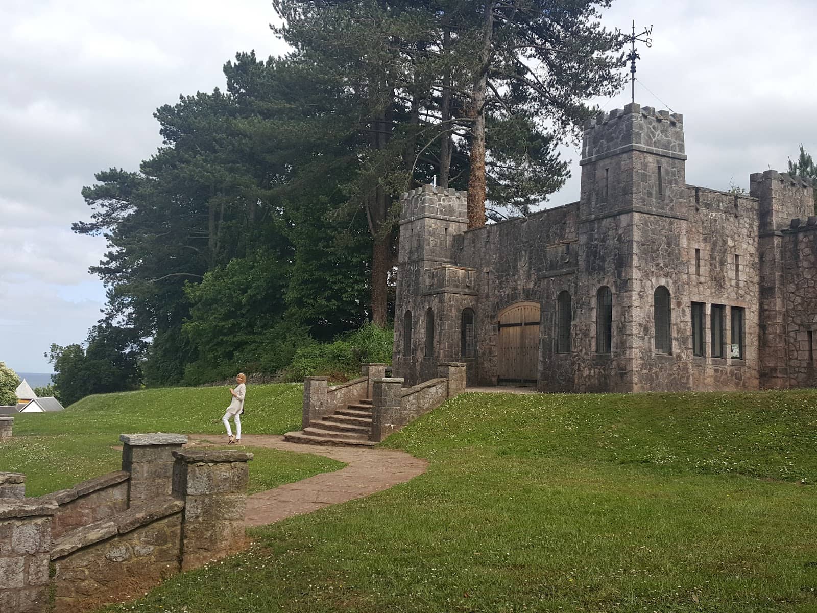 Diverse Tree Specimens