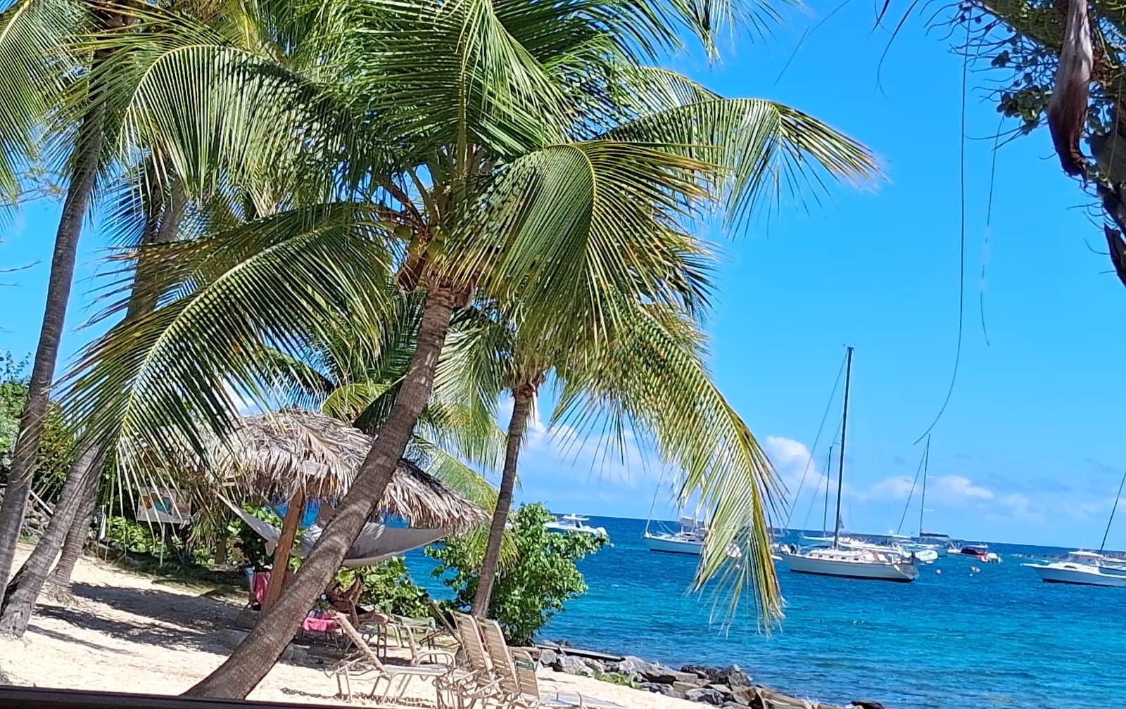 Beachfront Dining & Drinks