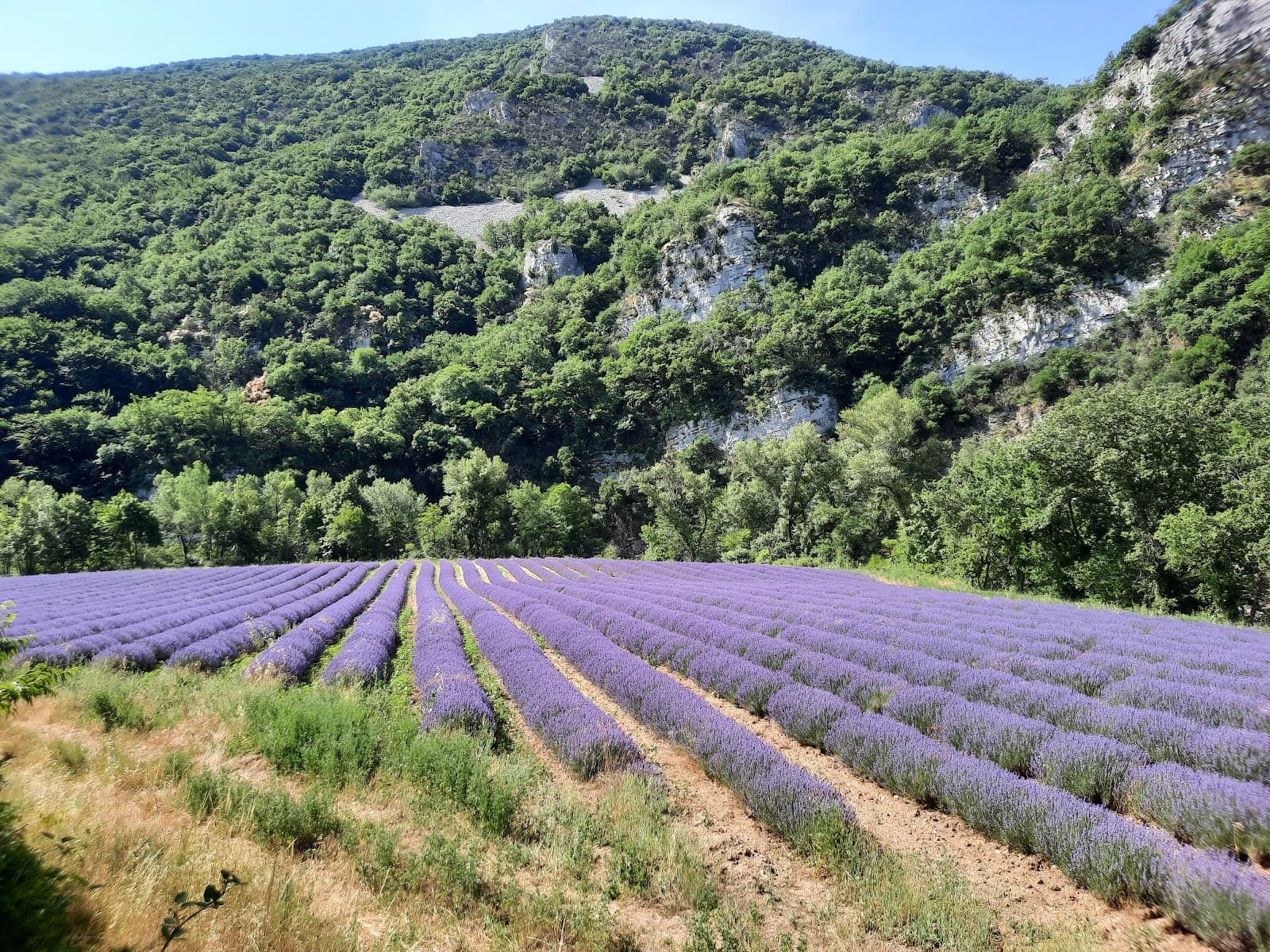 Roubion River Walk - Image 1