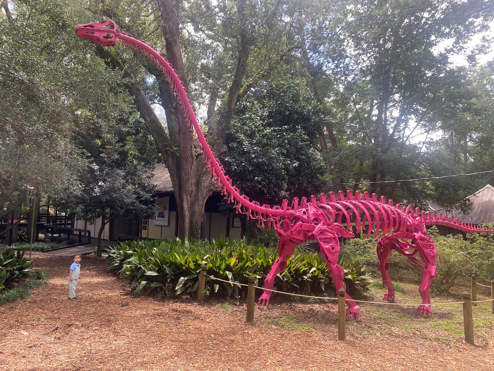 Tallahassee Museum - Image 1