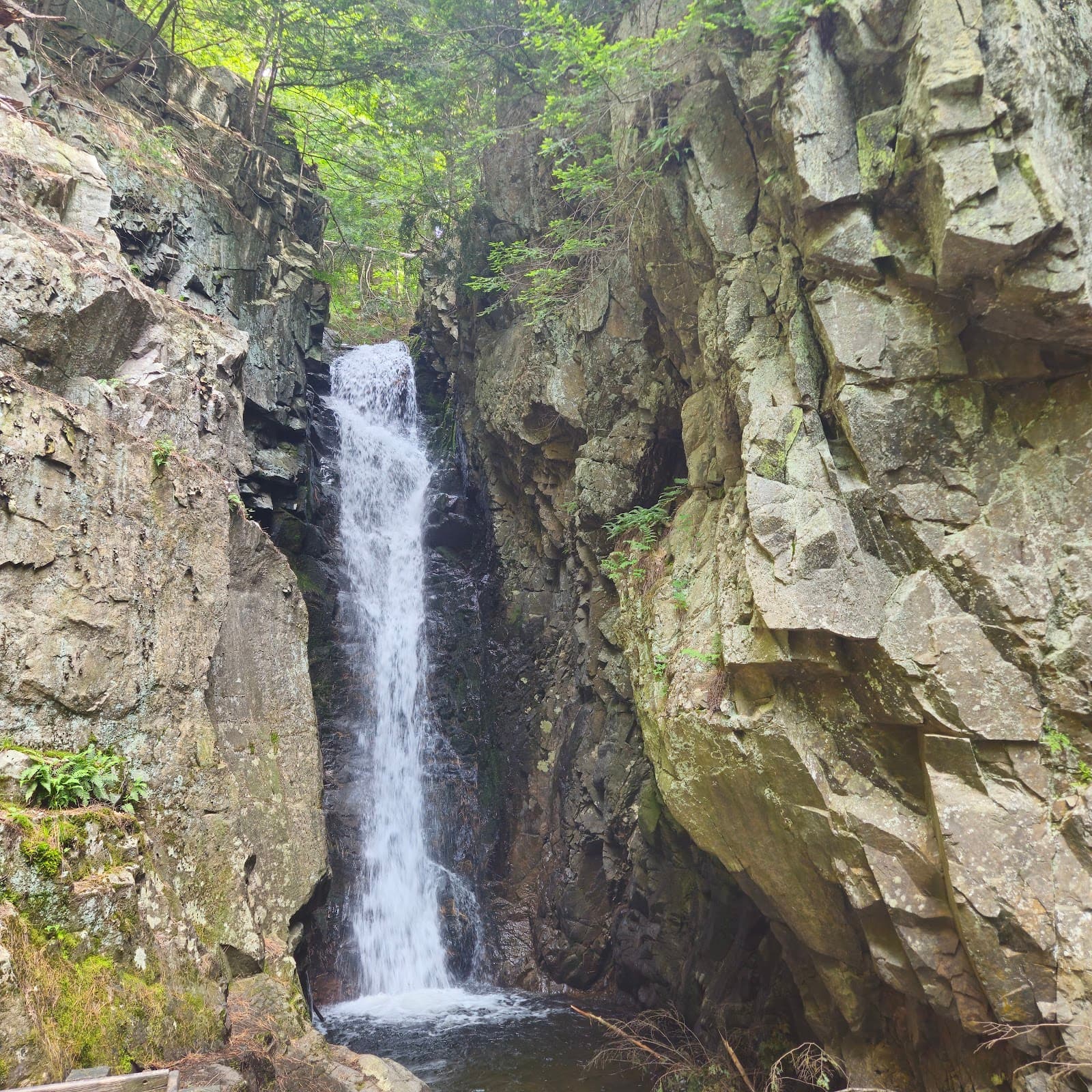 Falls of Song - Image 1