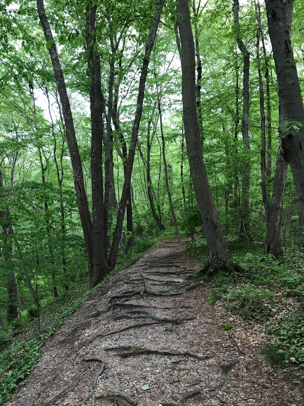 Trail View State Park - Image 1