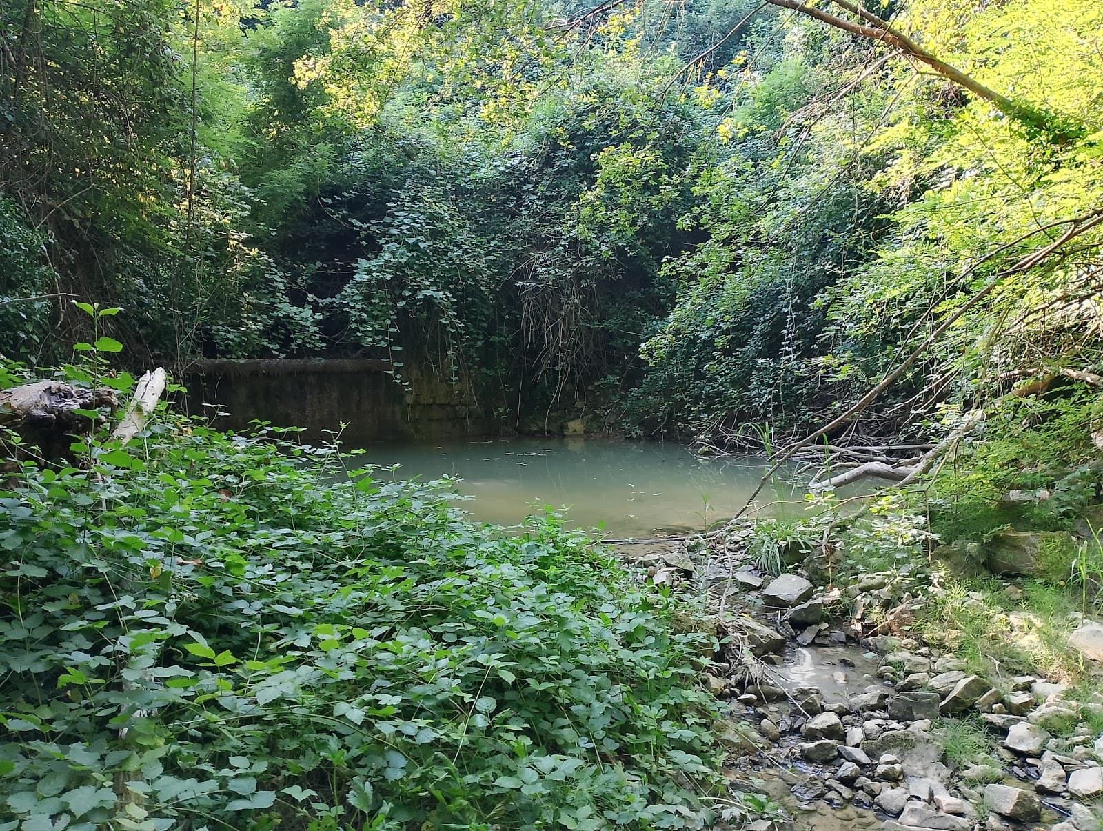 Oasi Faunistica di Ca' Brigida - Image 1