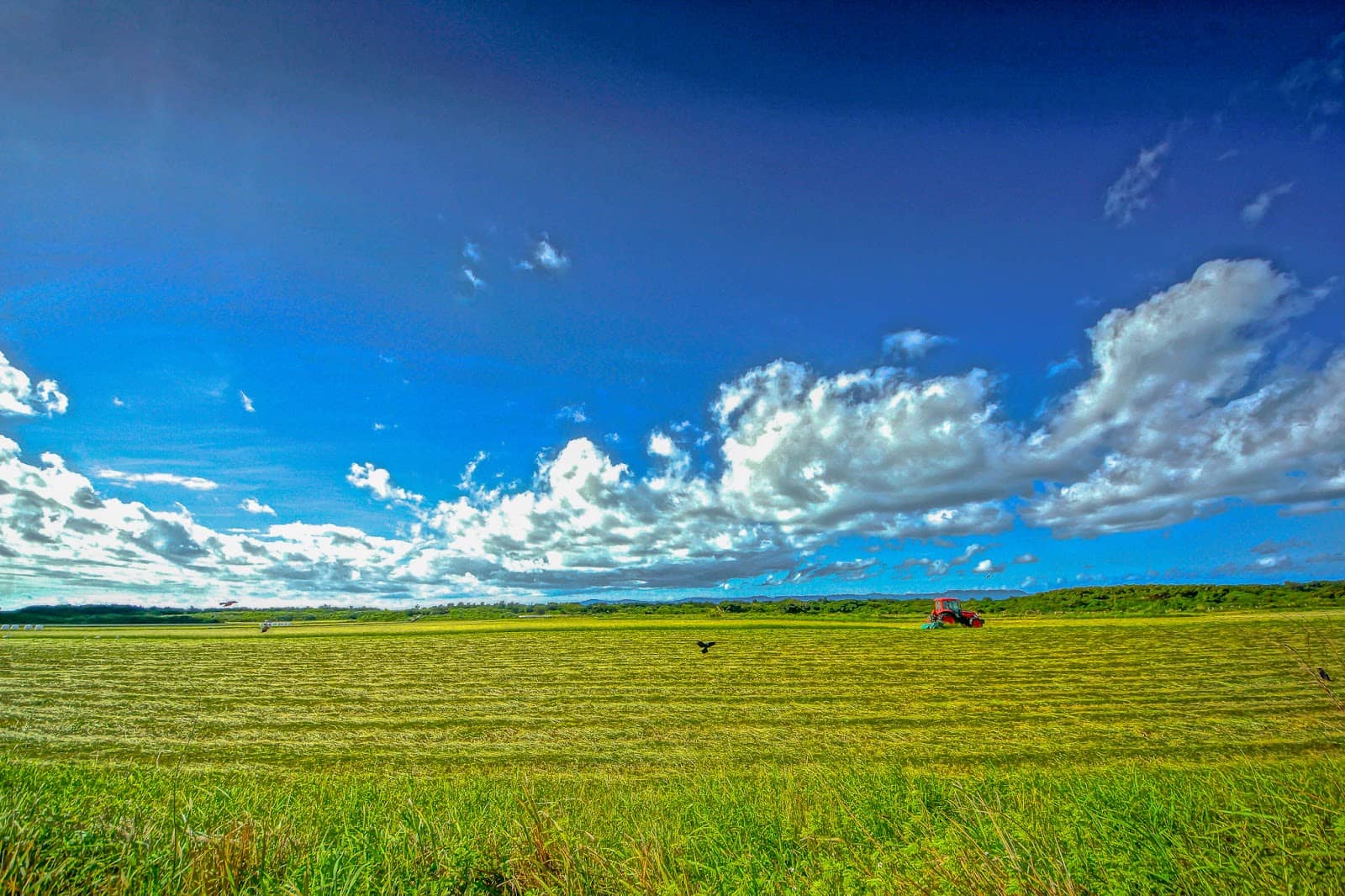 Island Exploration by Bike