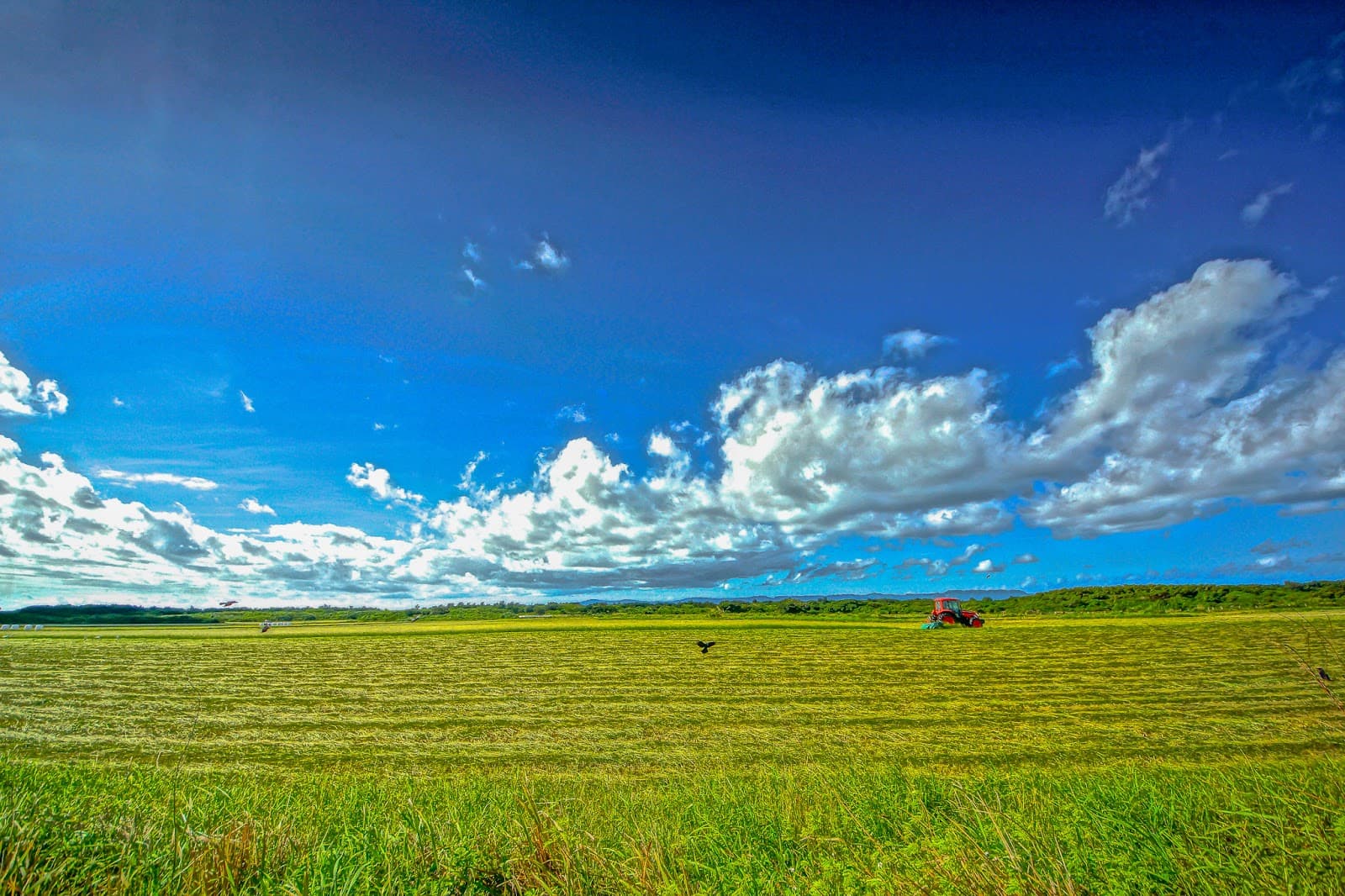 Kuroshima Japan - Image 1