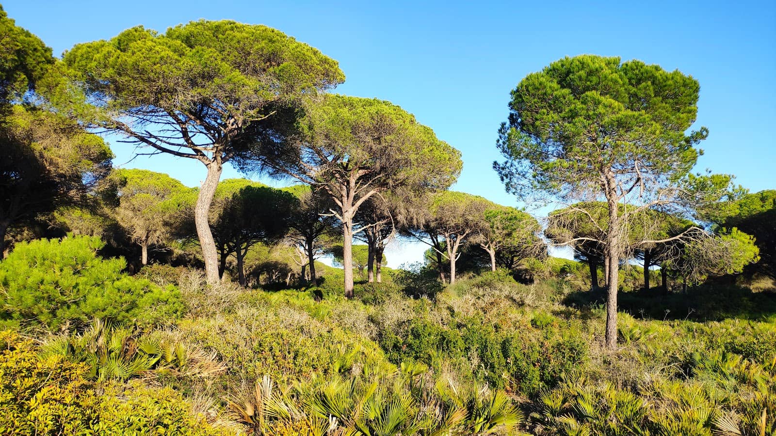 Tranquil Natural Oasis