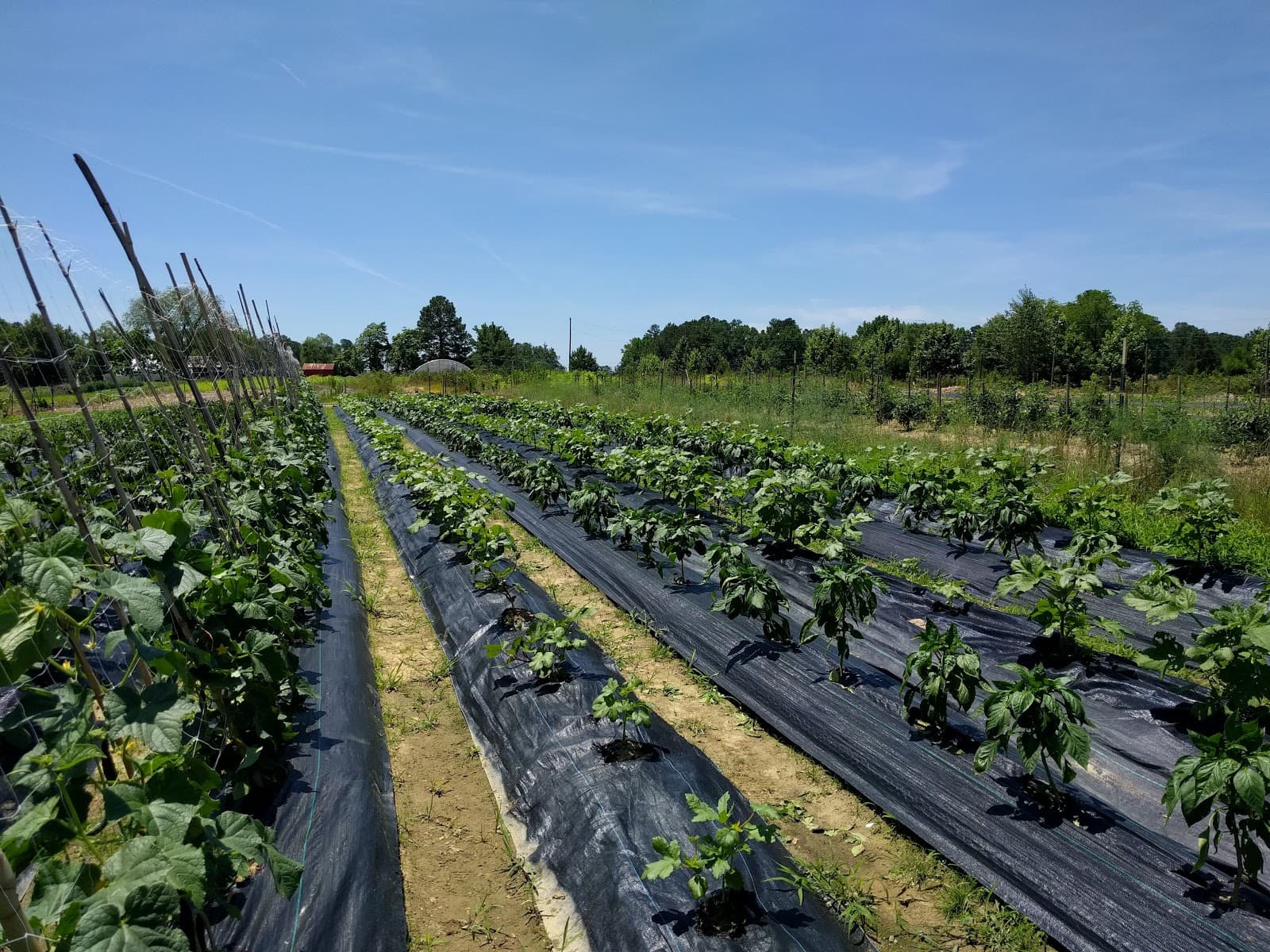 Good Hope Farm - Image 1