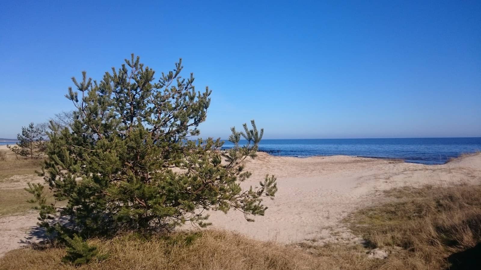 Stenshuvud National Park