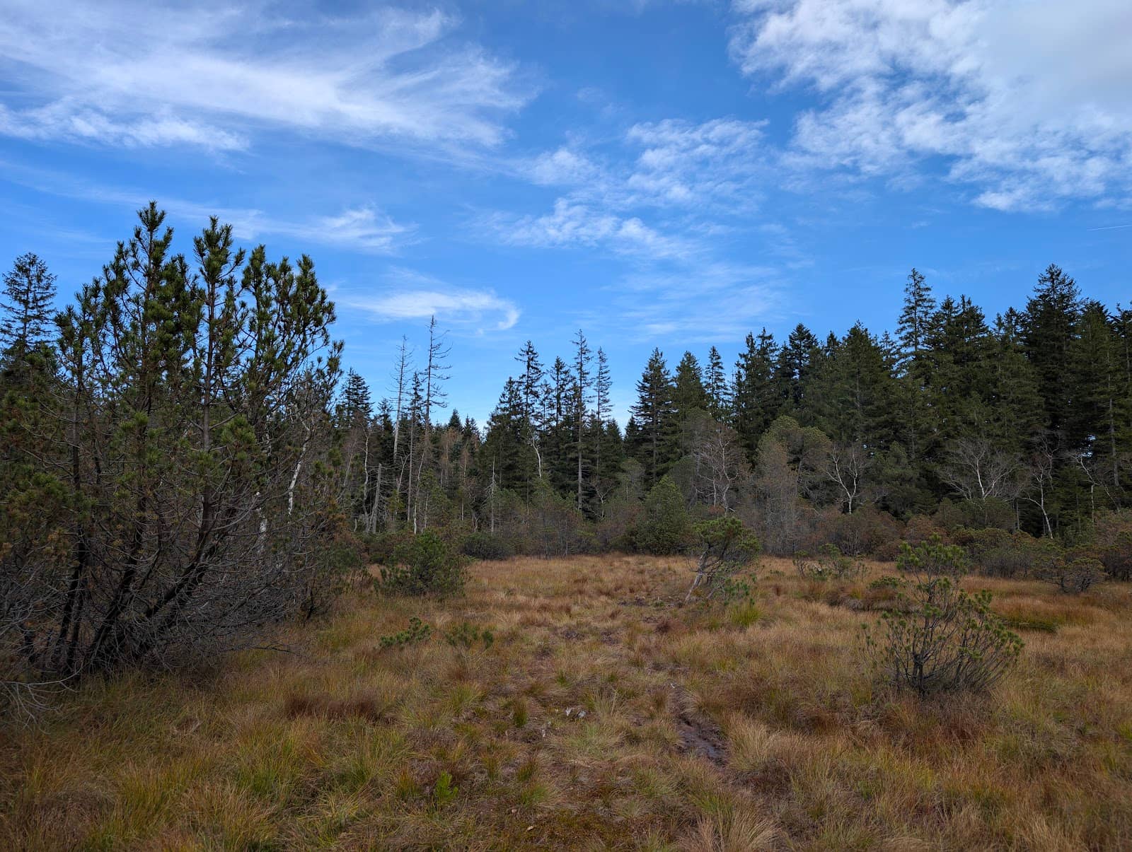 Panoramic Mountain Views