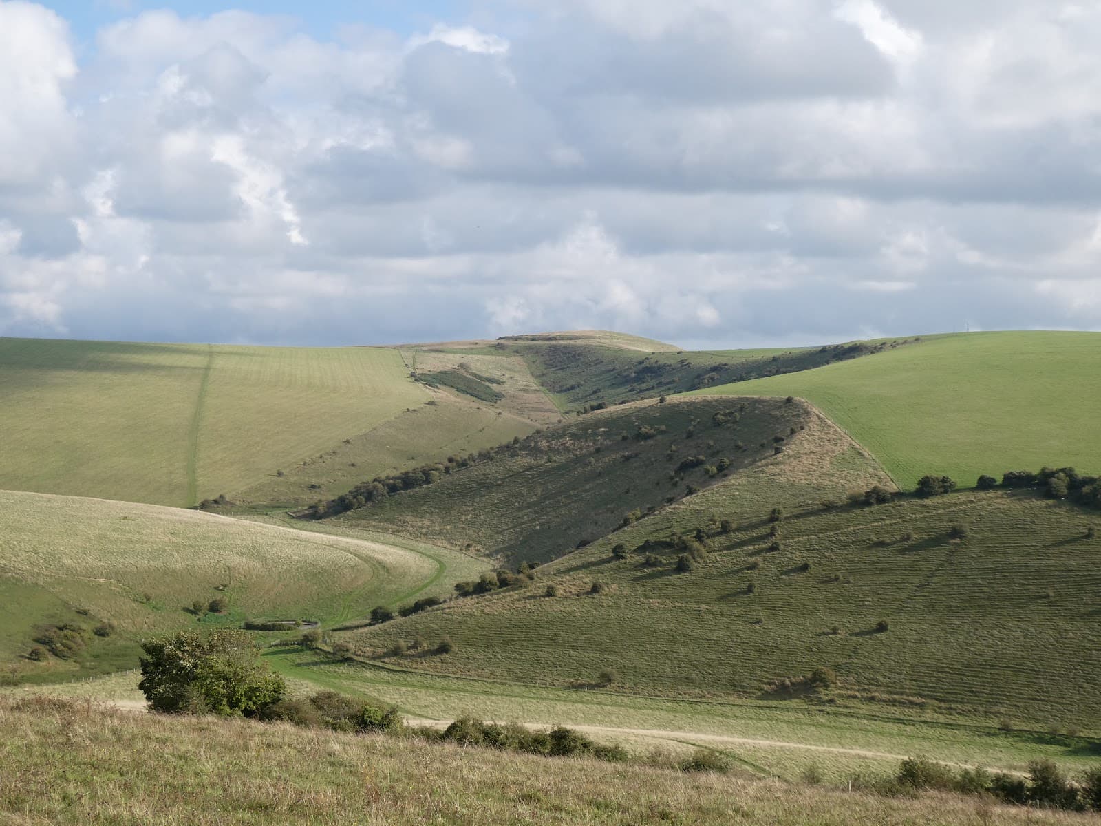 Southerham Farm Nature Reserve - Image 1