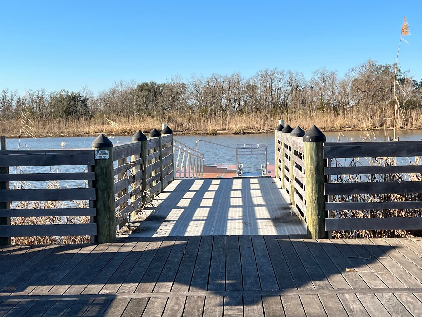 Bartram Canoe Trail - Image 1