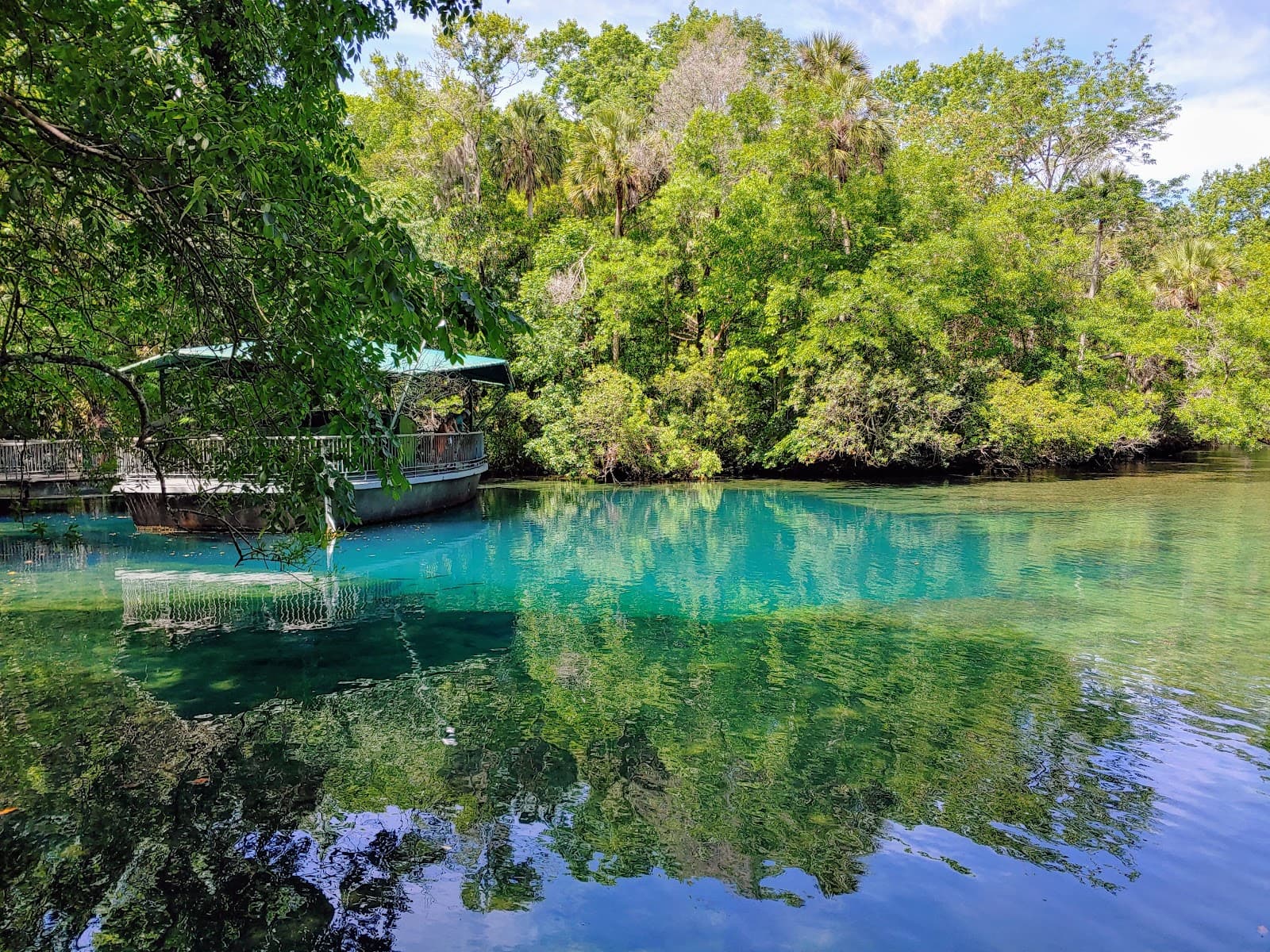 Homosassa Springs Wildlife State Park - Image 1