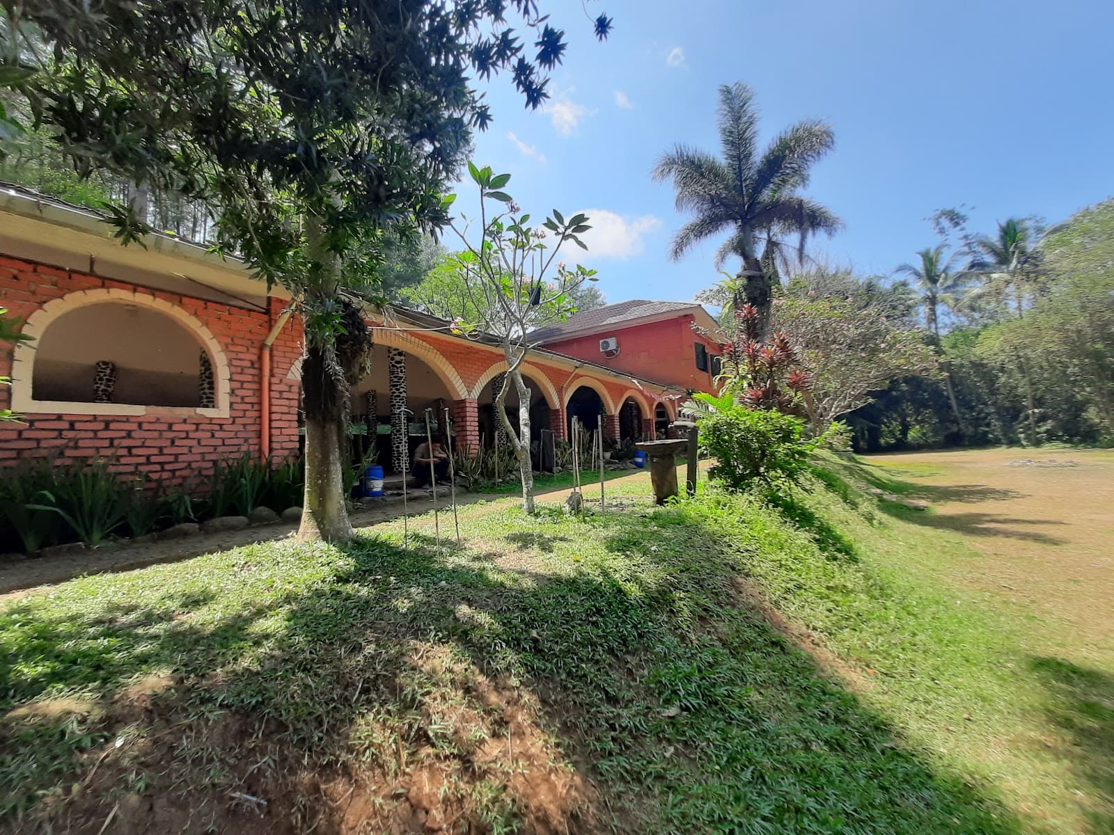Bukit Baros Tea Plantation - Image 1