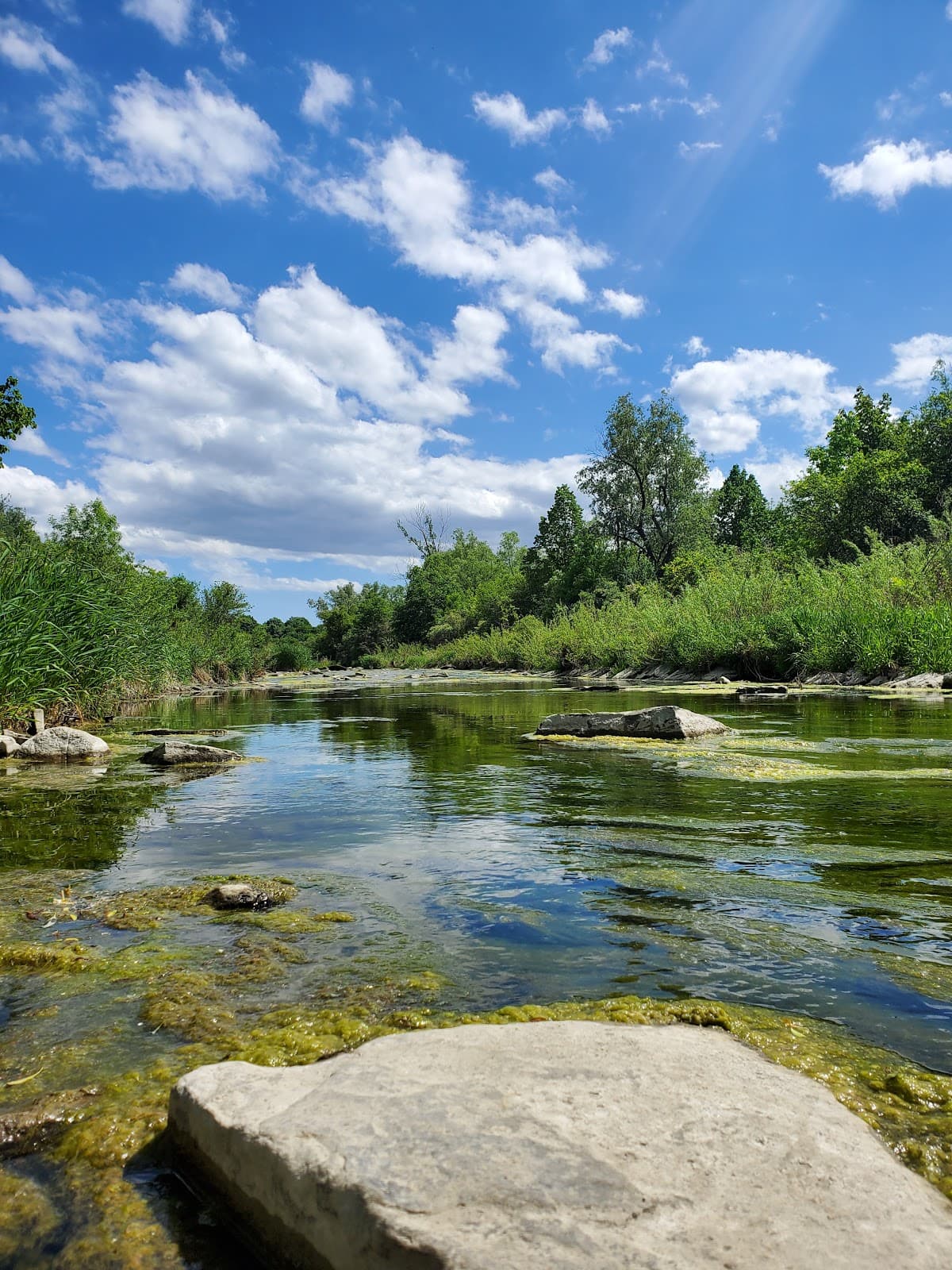 Humber River Trail - Image 1
