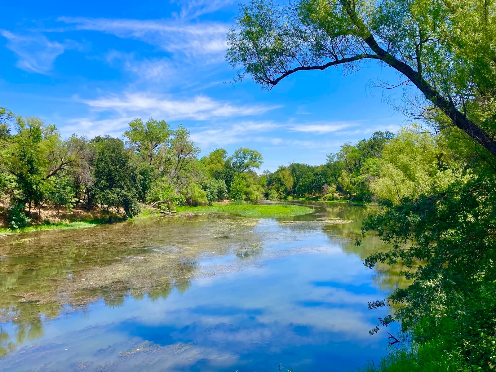 South Fork Preserve (Davis) - Image 1