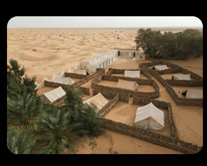 Ksar Ghilane Oasis - Image 1