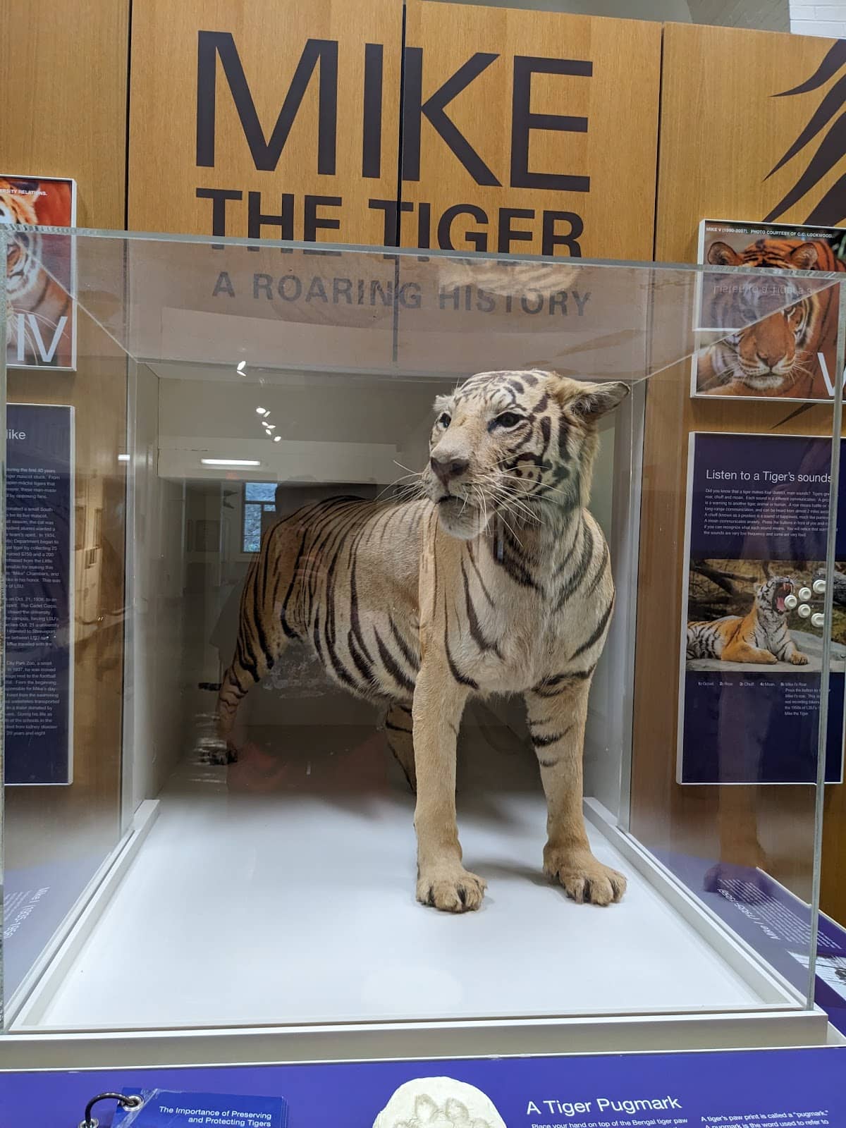 Insect and Invertebrate Displays