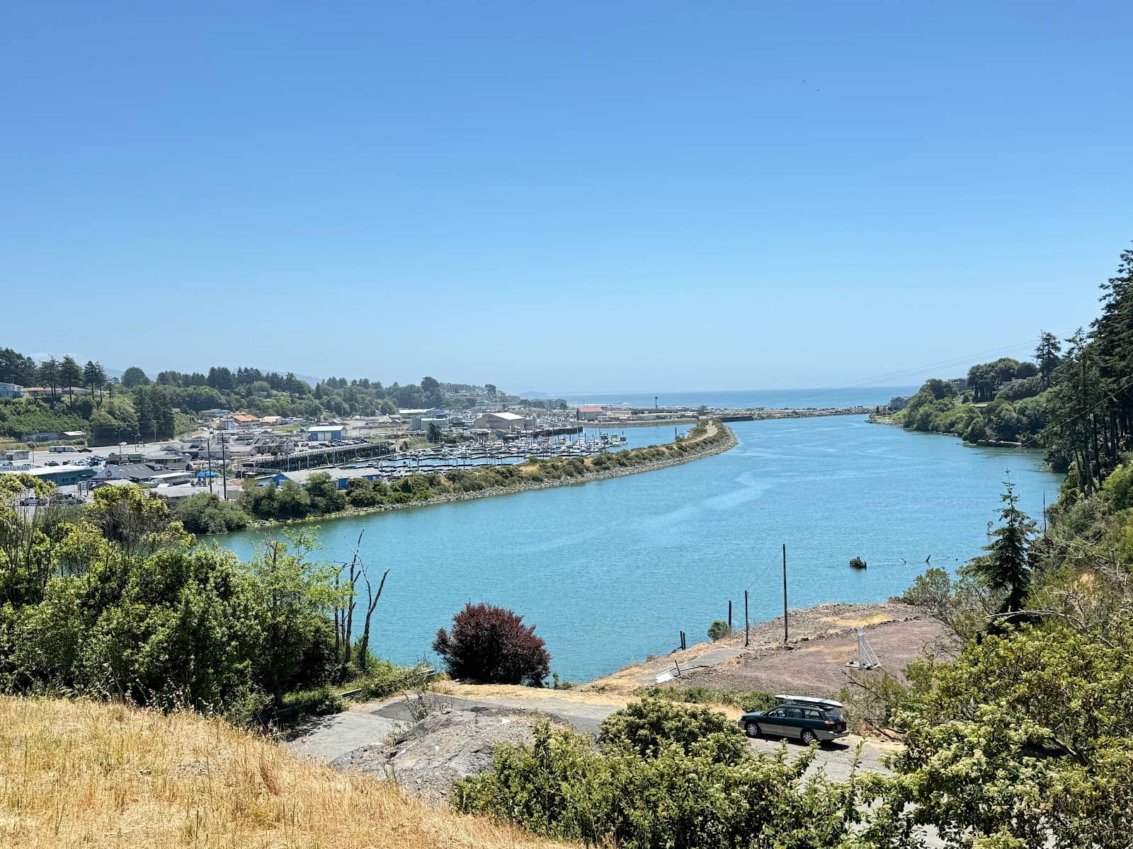 Spectacular Brookings Coastline
