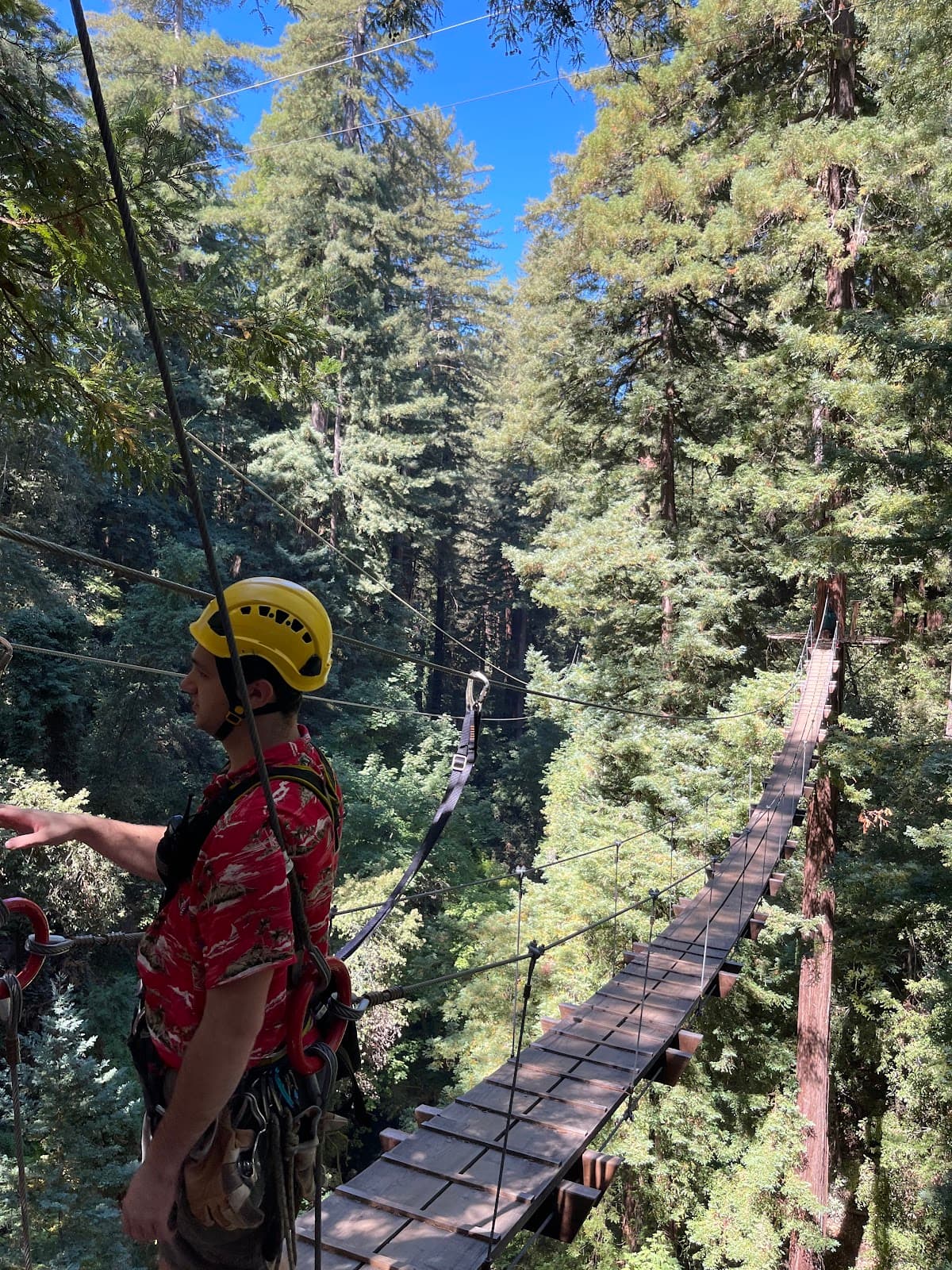 Mount Hermon Adventures (Redwood Canopy Tours) - Image 1