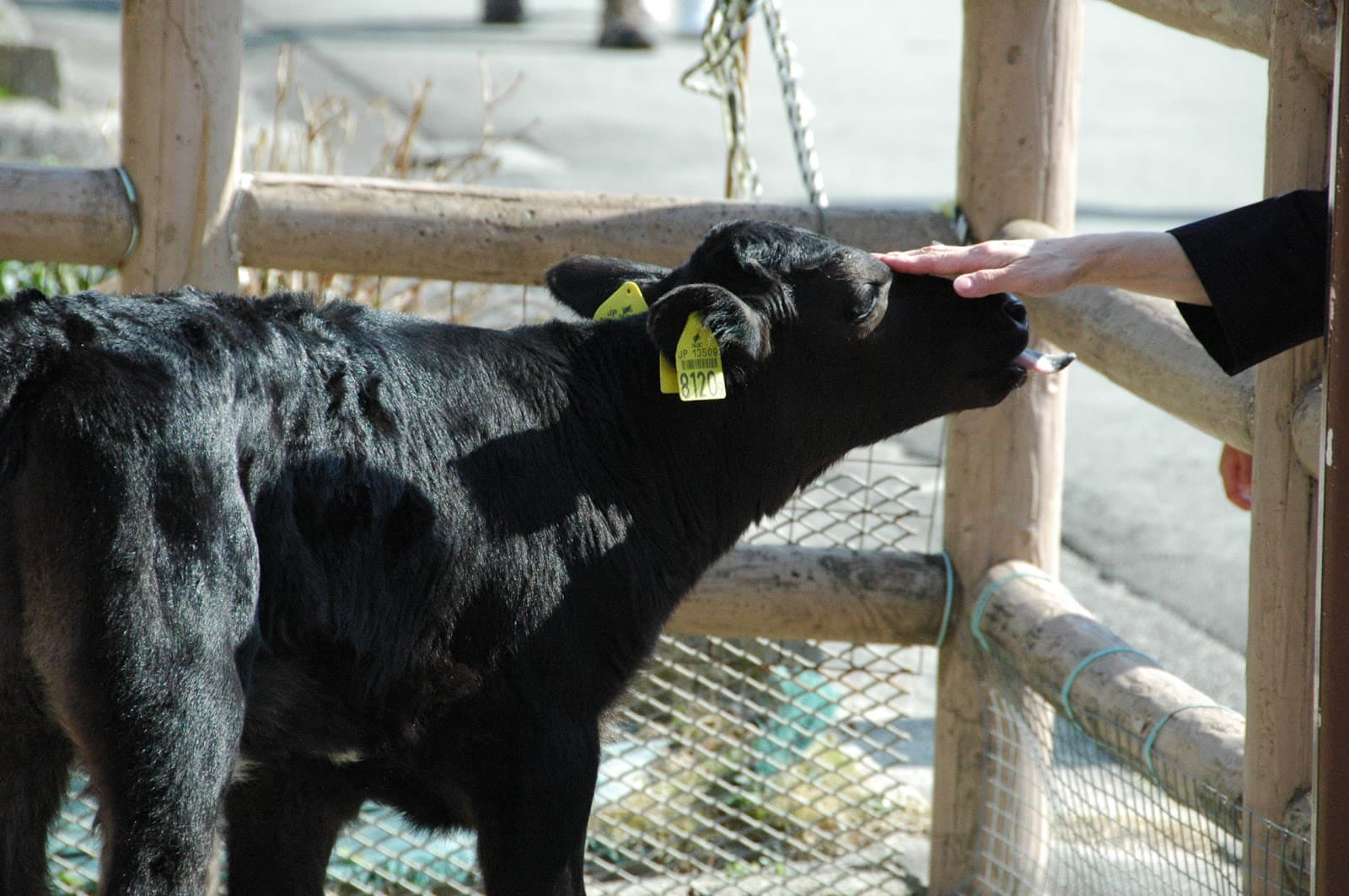 Nagoya City Agricultural Center Dela Farm - Image 1