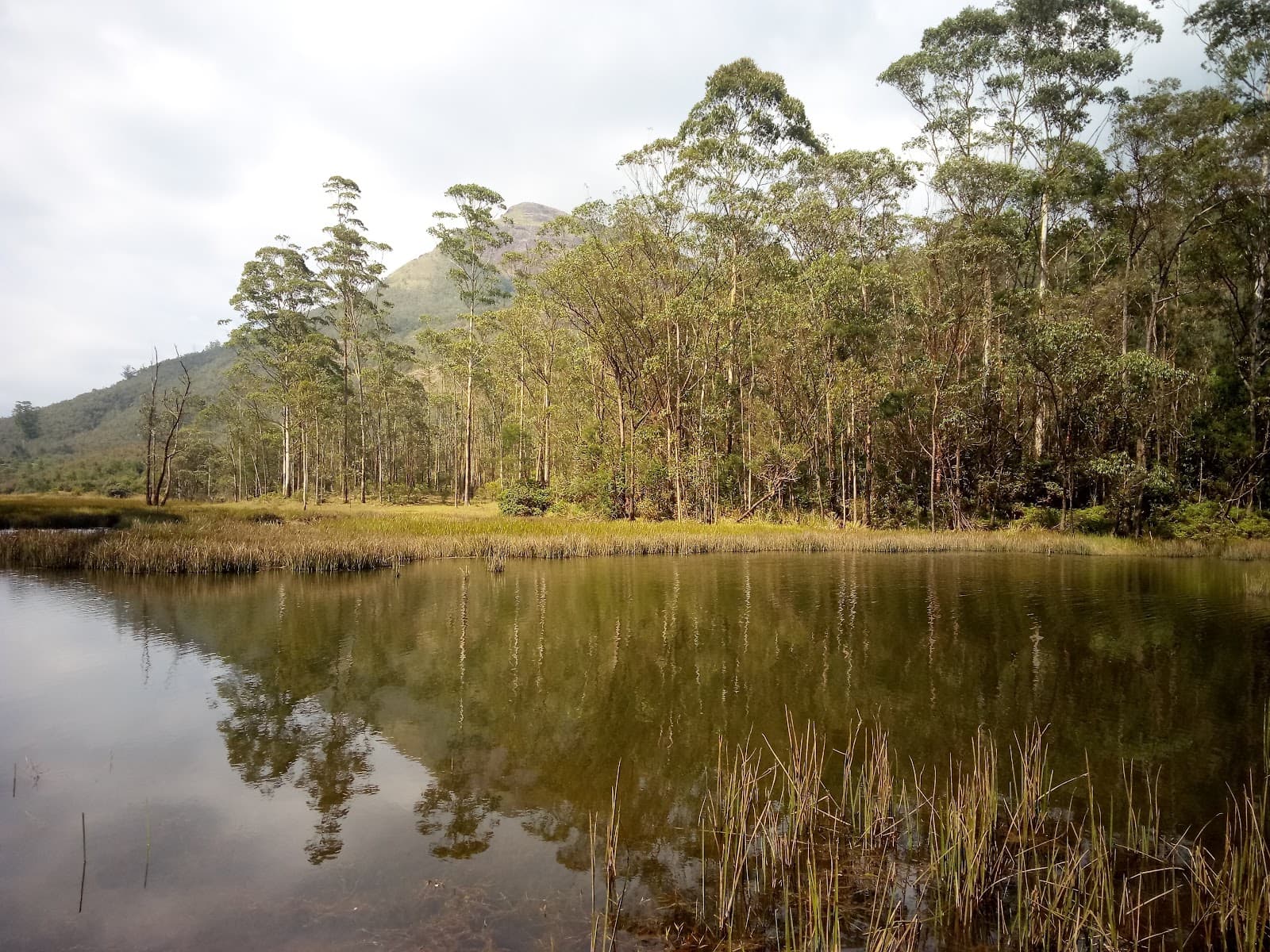 Sita Devi Lake Devikulam - Image 1
