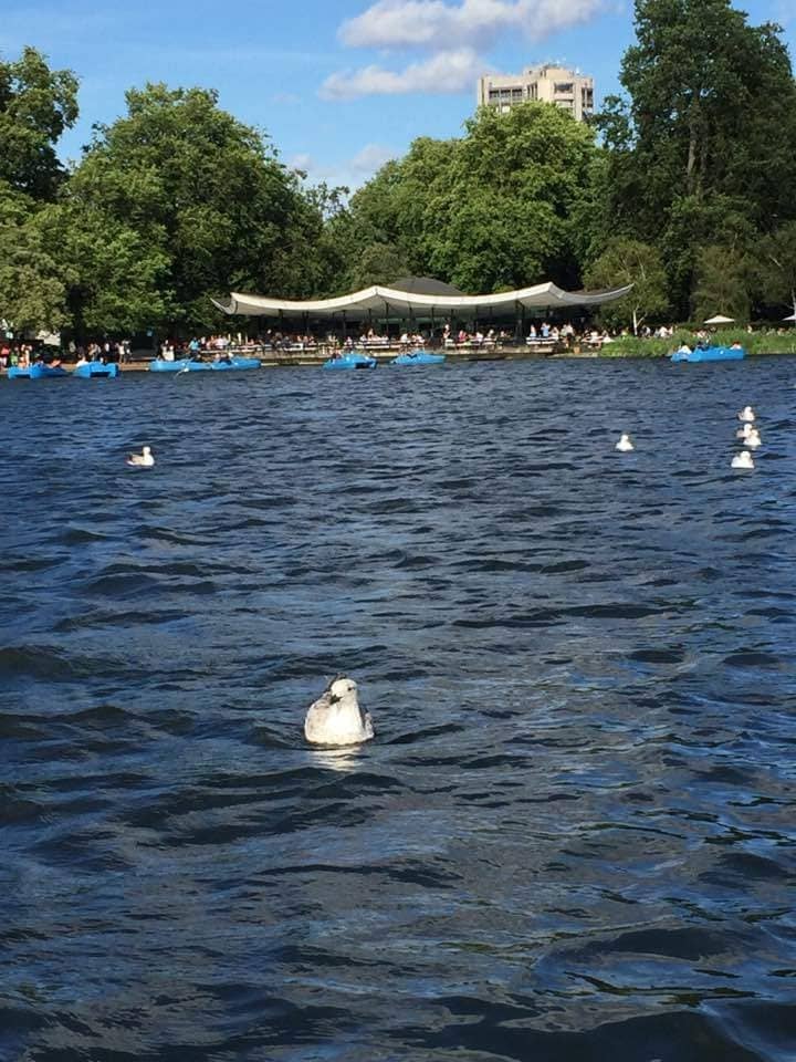 Elizabeth Line Access