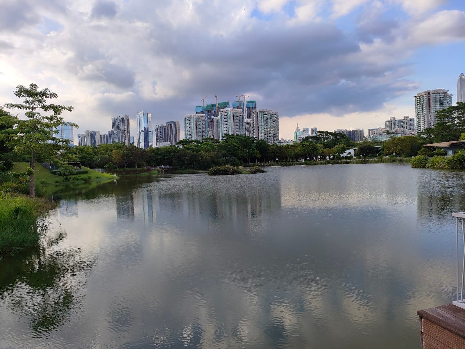 Futian Mangrove Ecological Park - Image 1