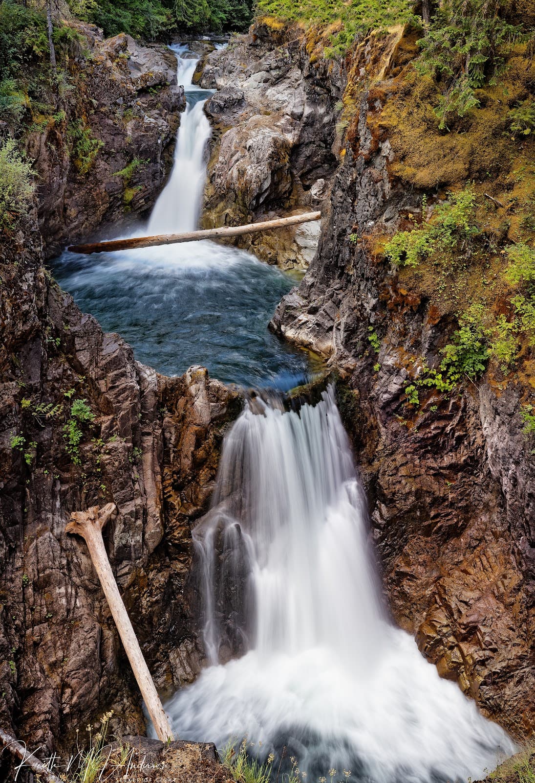 Little Qualicum Falls Provincial Park - Image 1