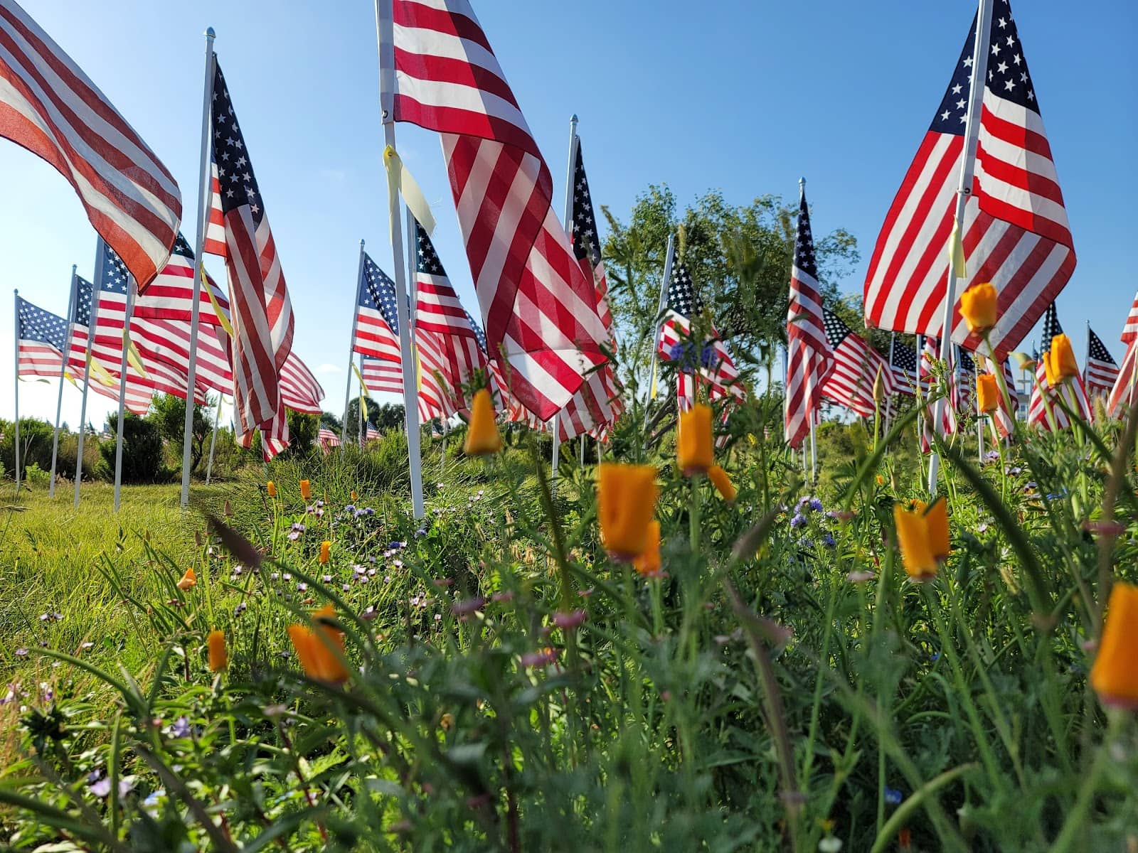 Scenic Walking Trails