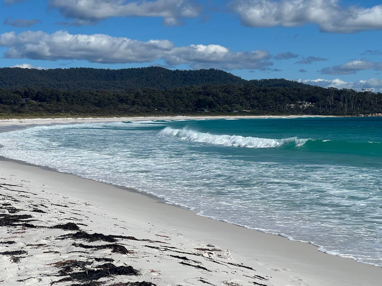 Fishing Opportunities