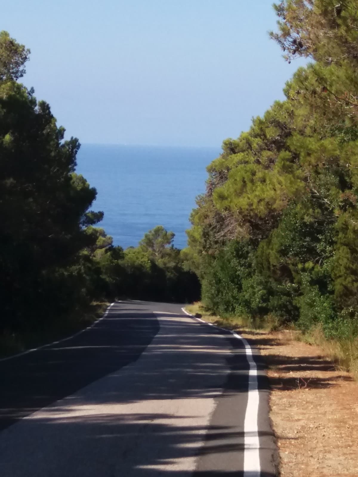 Borgo di Nibbiaia - Image 1