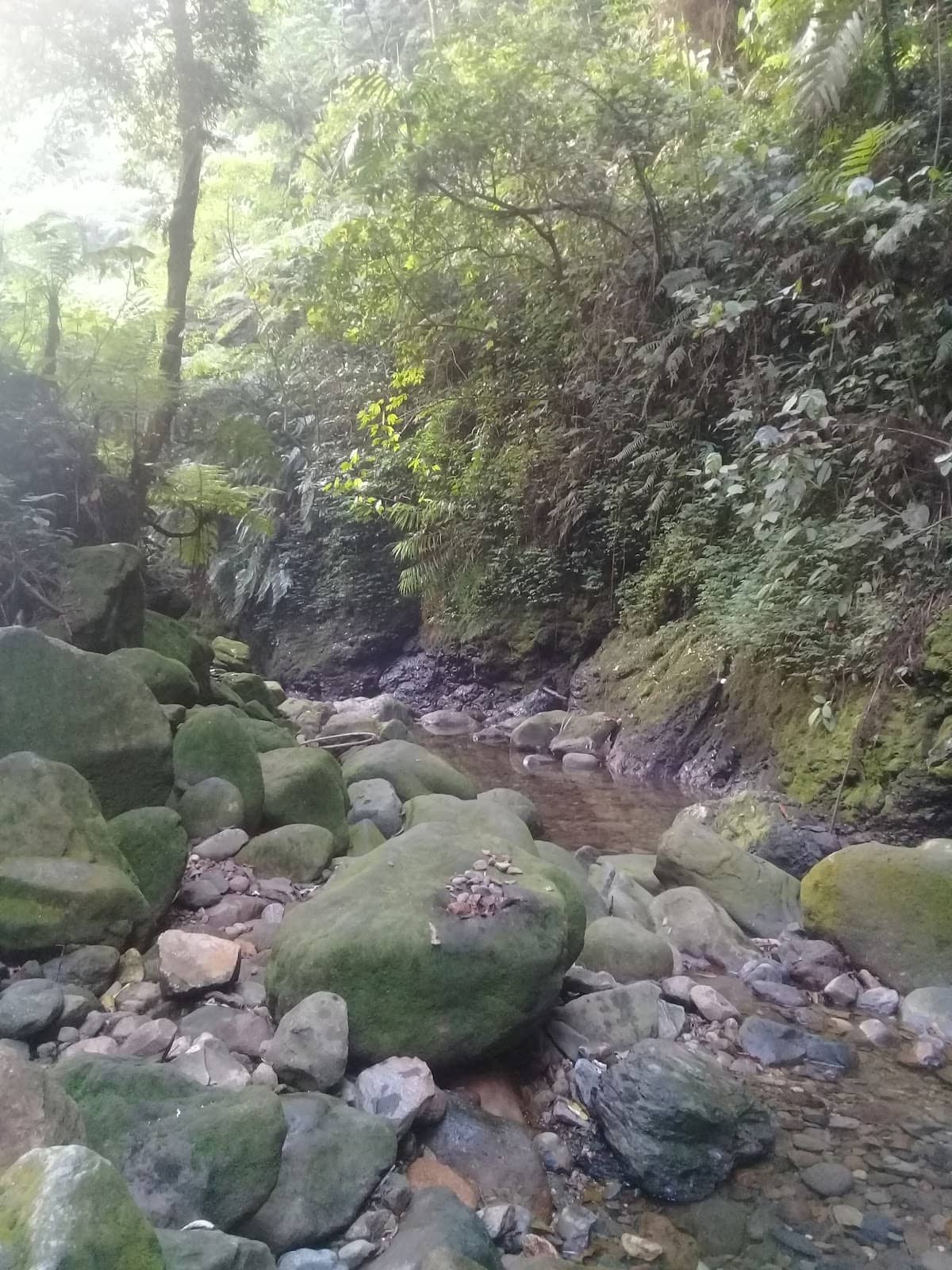 D'Bunder View Camping Ground