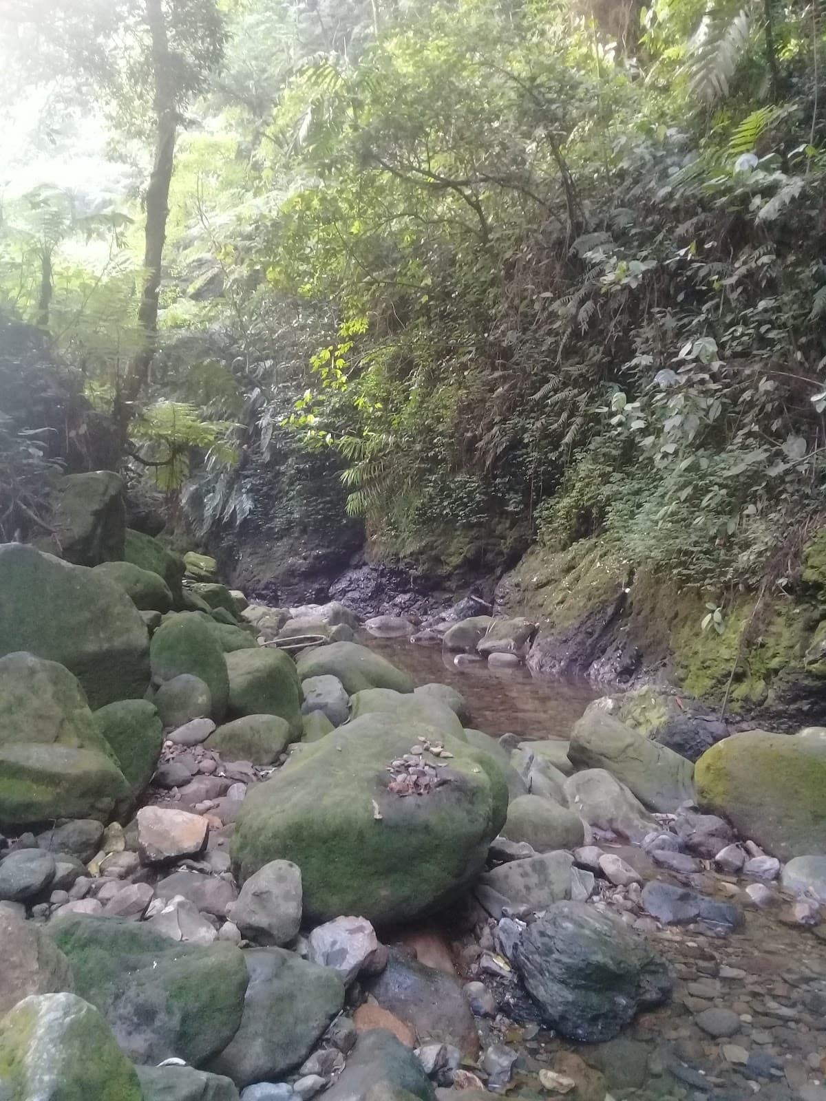 Gunung Bunder Recreation Area - Image 1