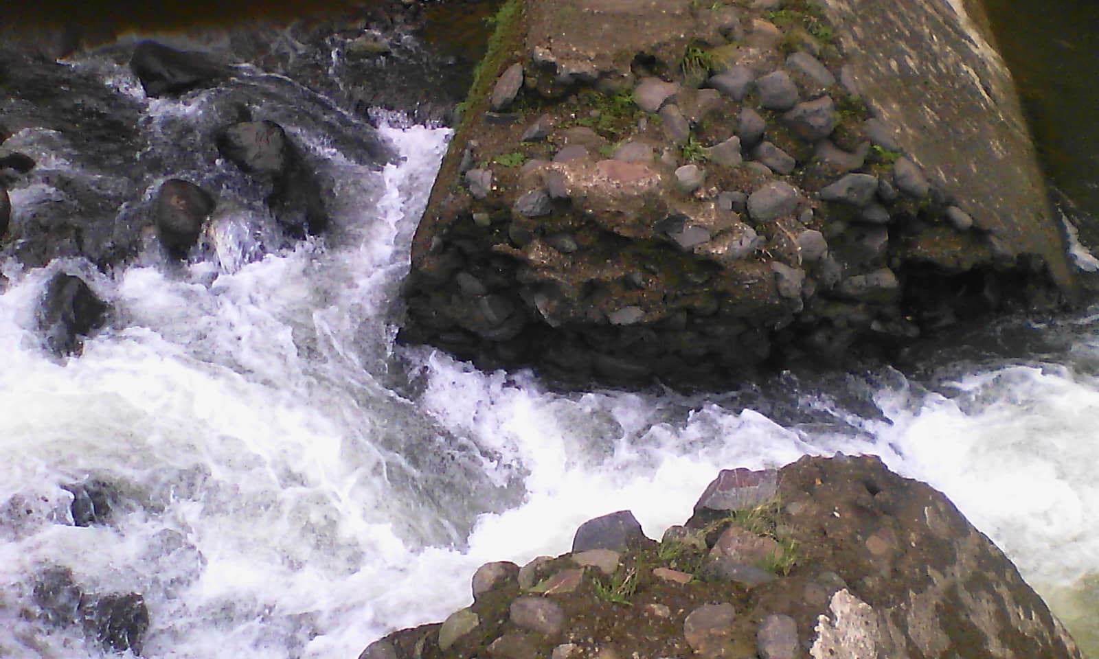 Vertical photo