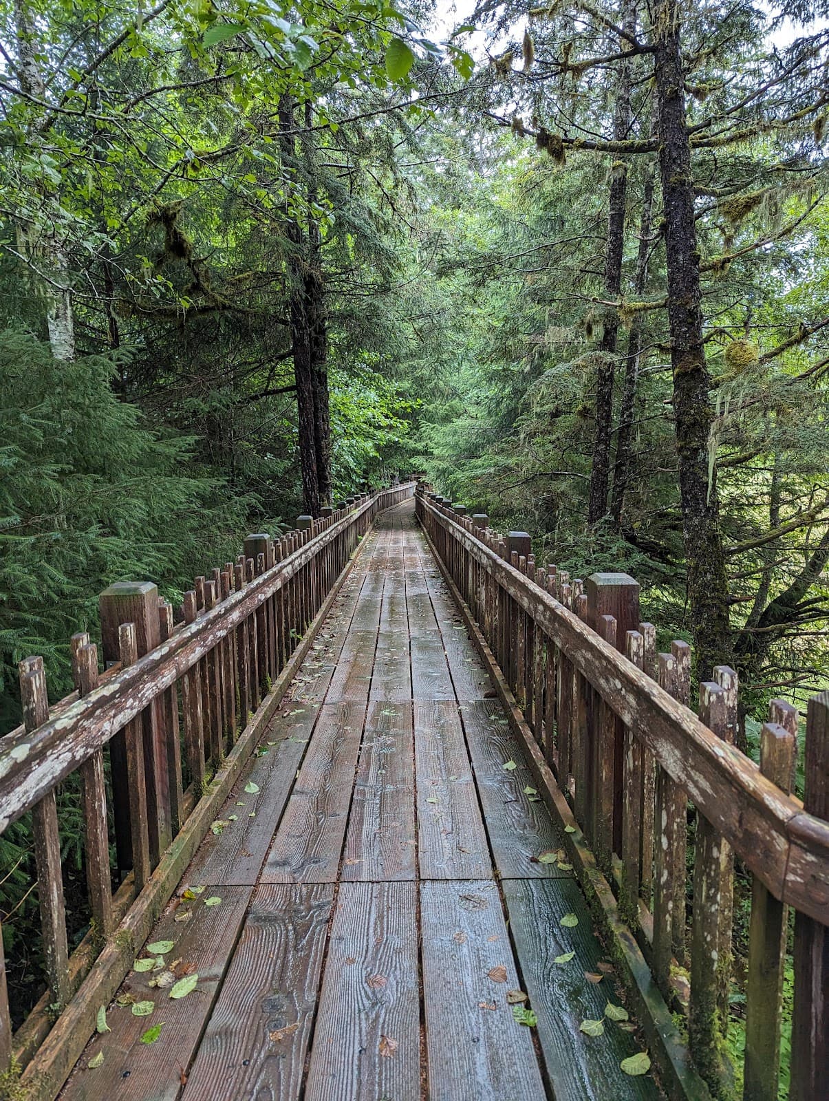 Starrigavan Estuary Life Trail - Image 1