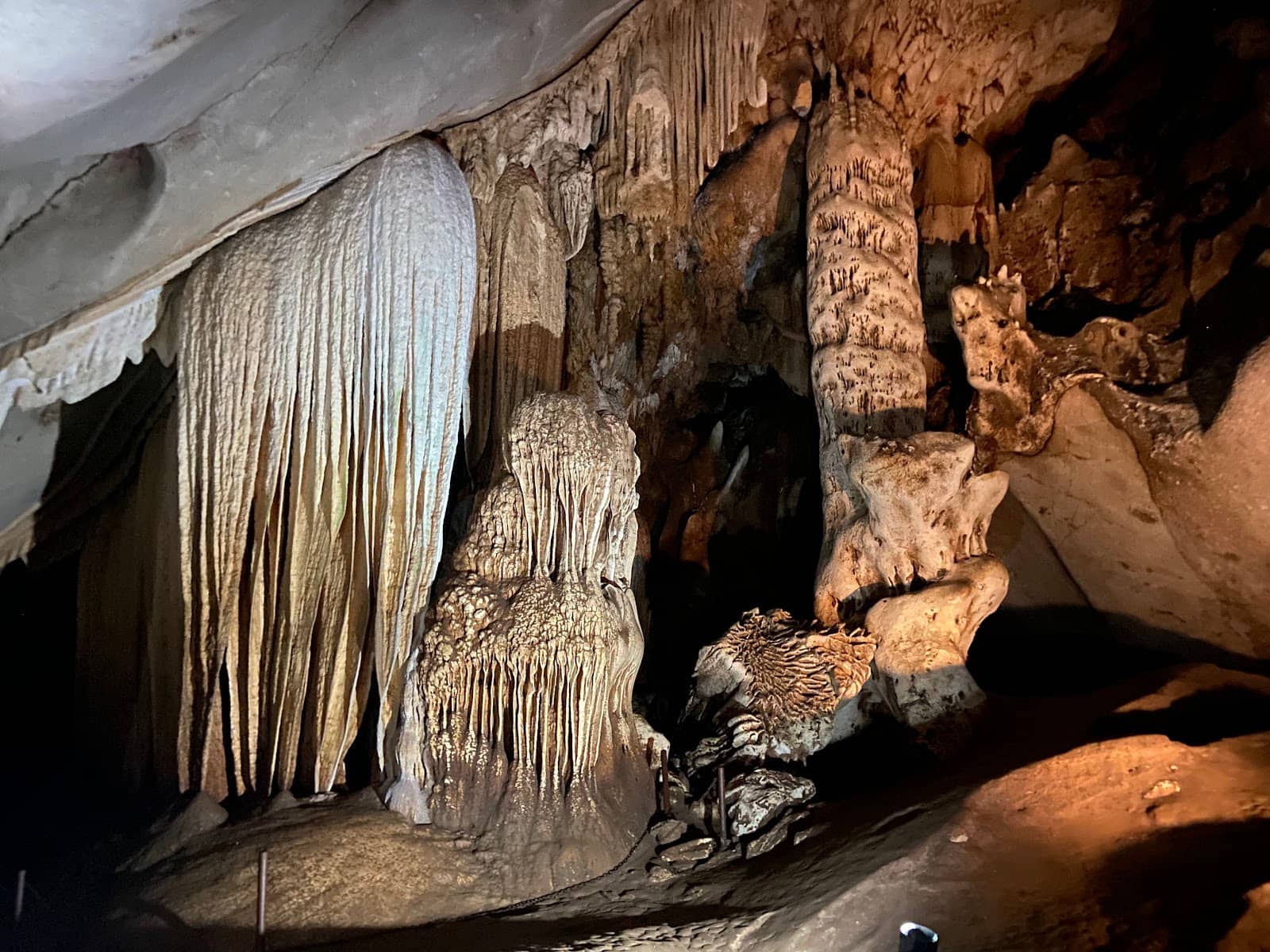 Local Guide Experience