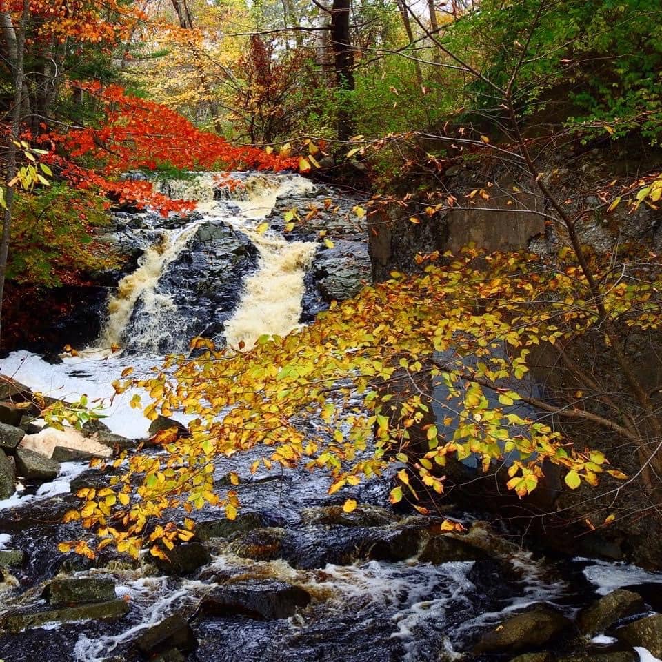 Birdwatching Paradise