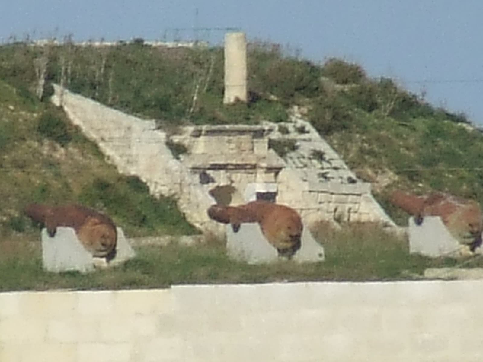Fort Mosta - Image 1