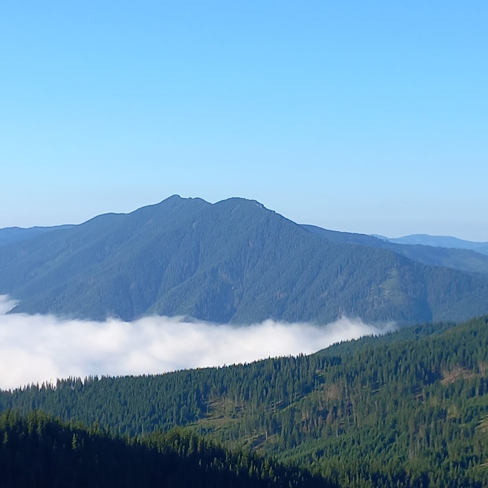 Piatra Pinului Nature Reserve - Image 1