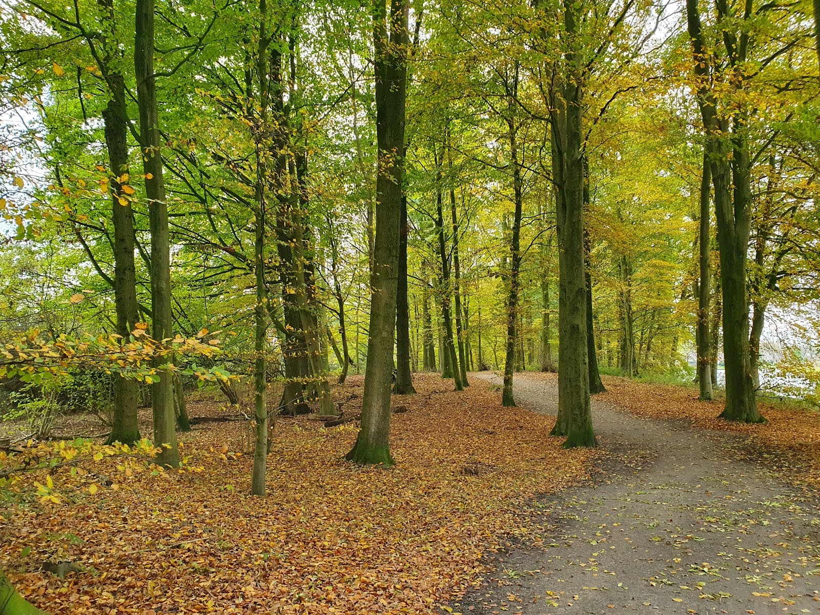 Froskepôlle Nature Area - Image 1
