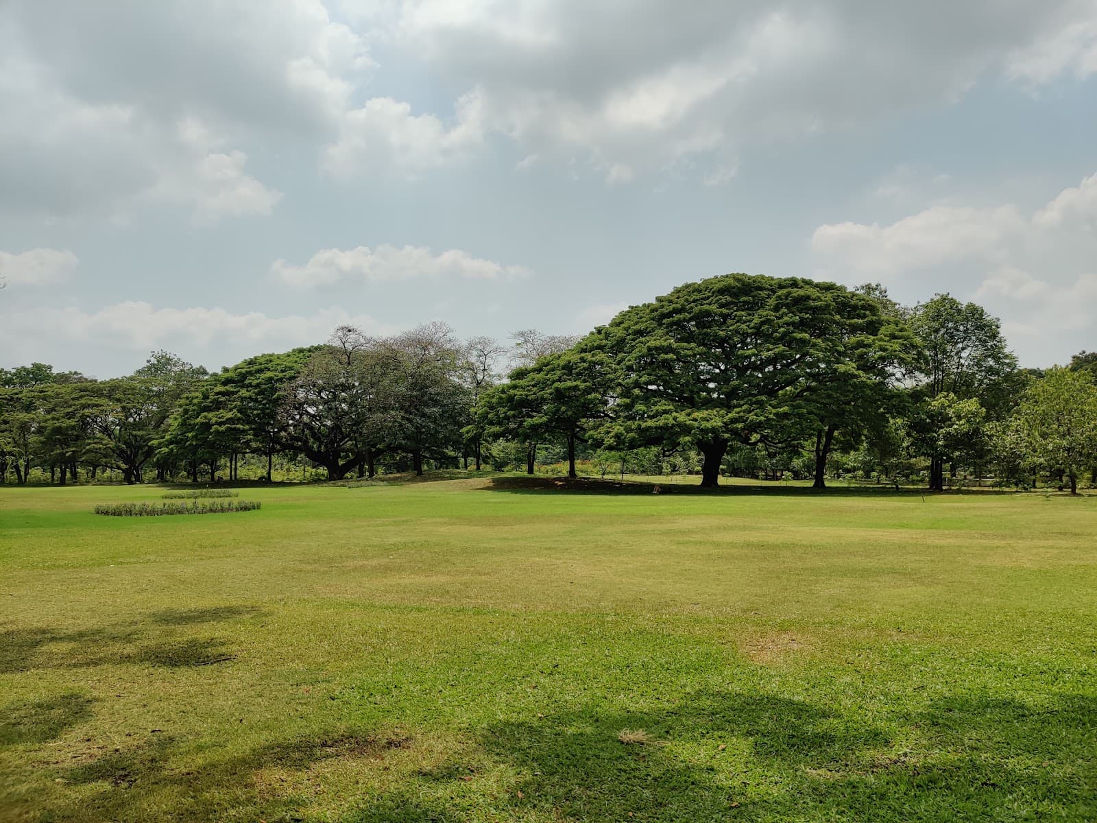 Wachirabenchathat (Rot Fai) Park Bangkok - Image 1