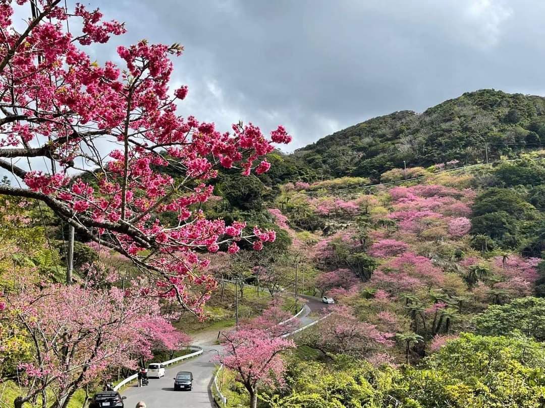 Yaedake Sakura no Mori Park - Image 1