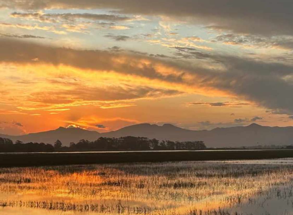 Lagoa dos Quadros - Image 1