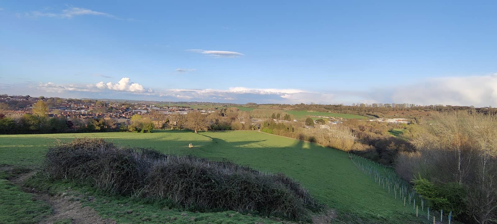 Nature Walk & Dog-Friendly Trails