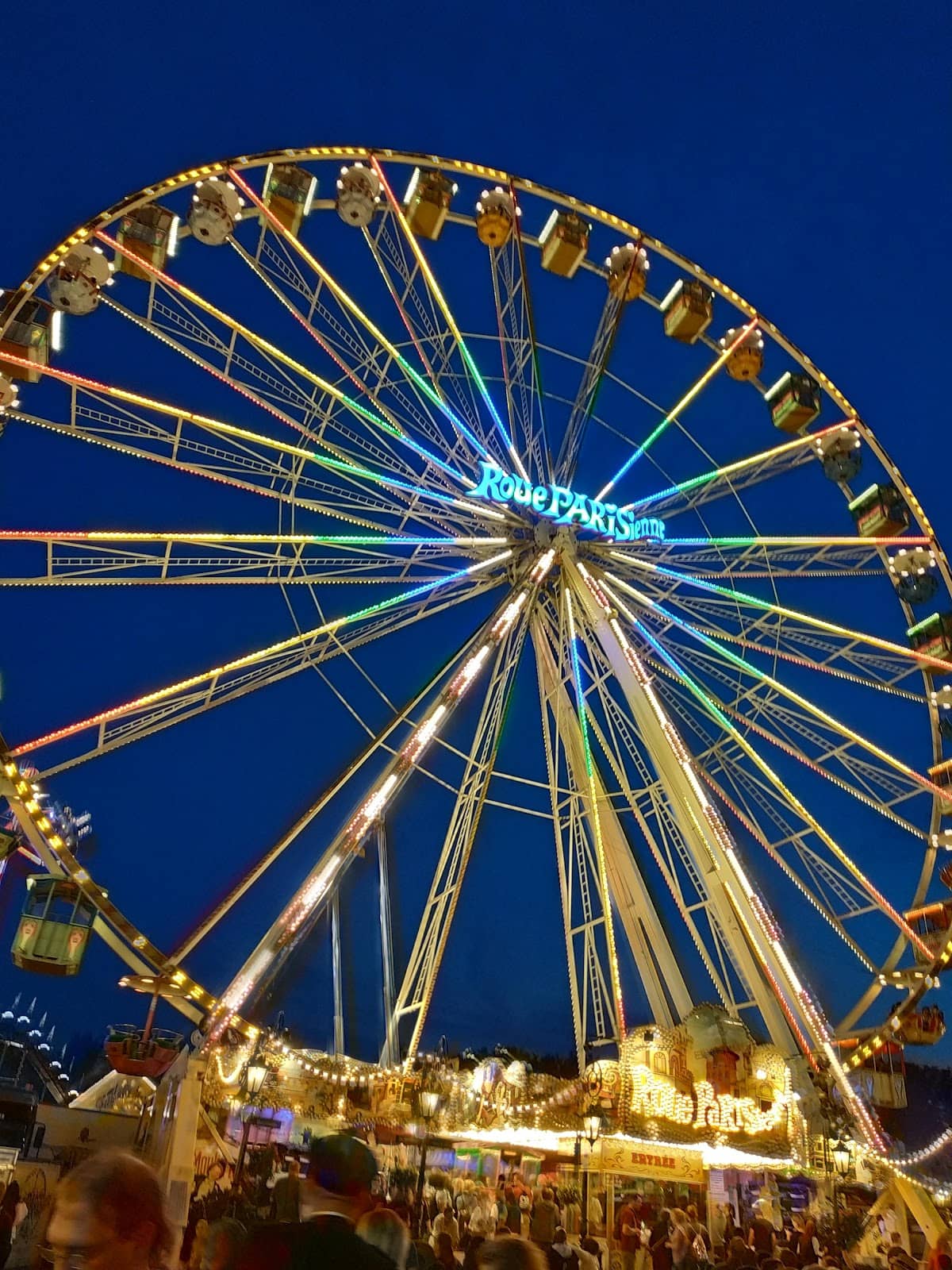 Spring Festival Delights