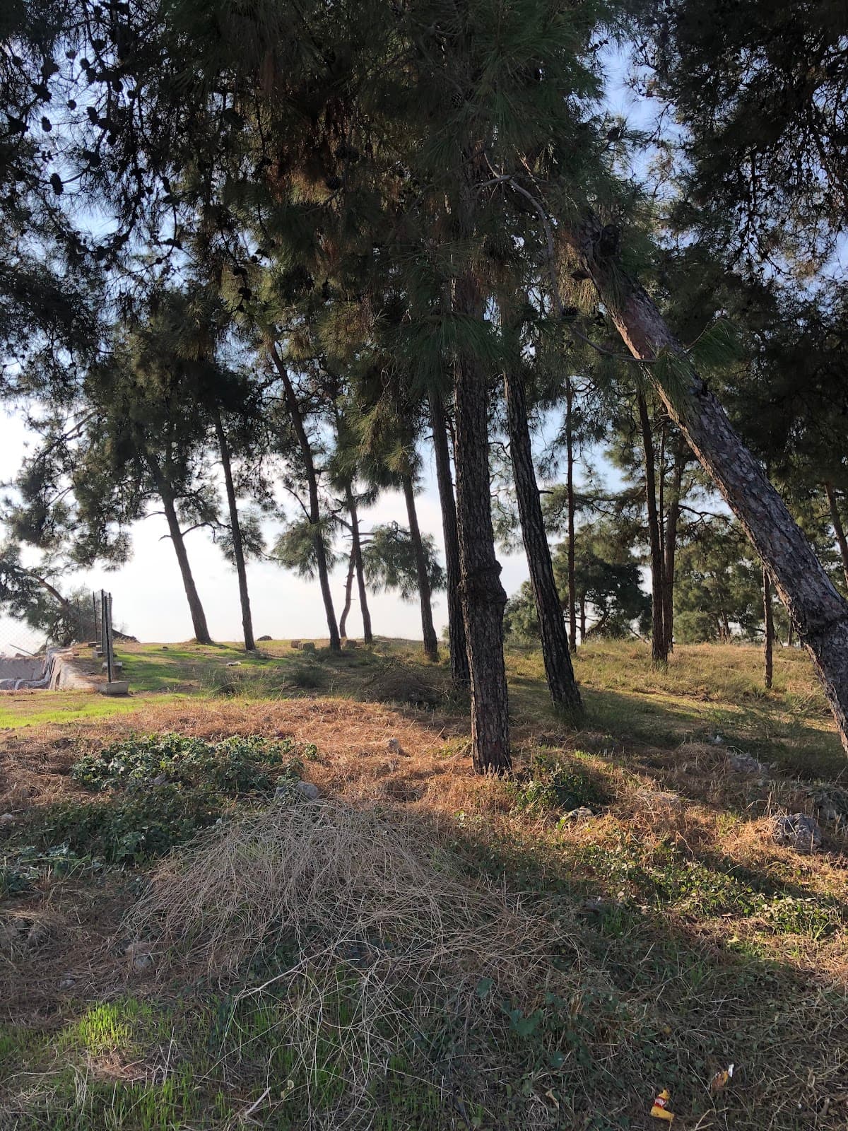 Gözlükule Mound - Image 1