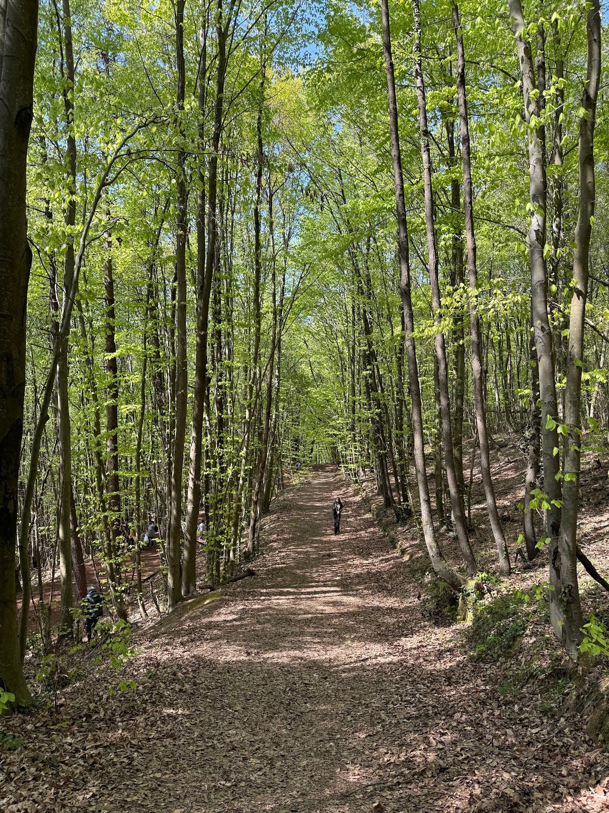 Polonezköy Nature Park - Image 1
